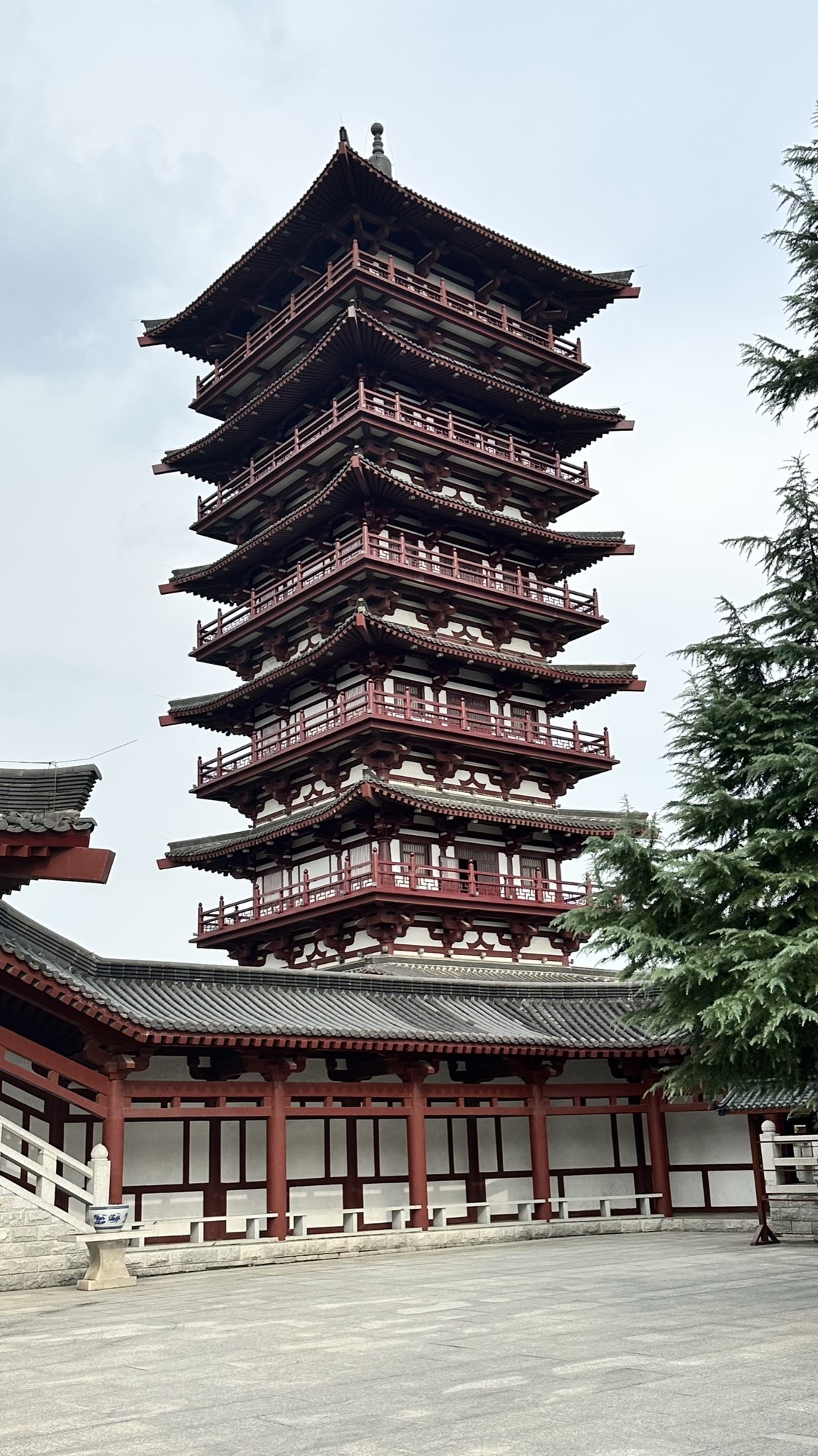 紫蓬山国家森林公园旅行图片 1