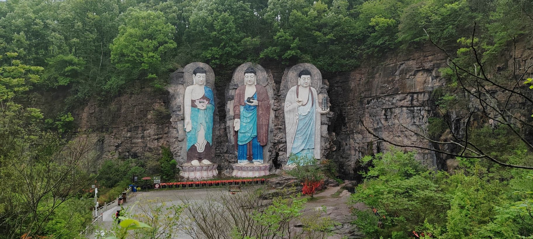 紫蓬山国家森林公园旅行图片 3