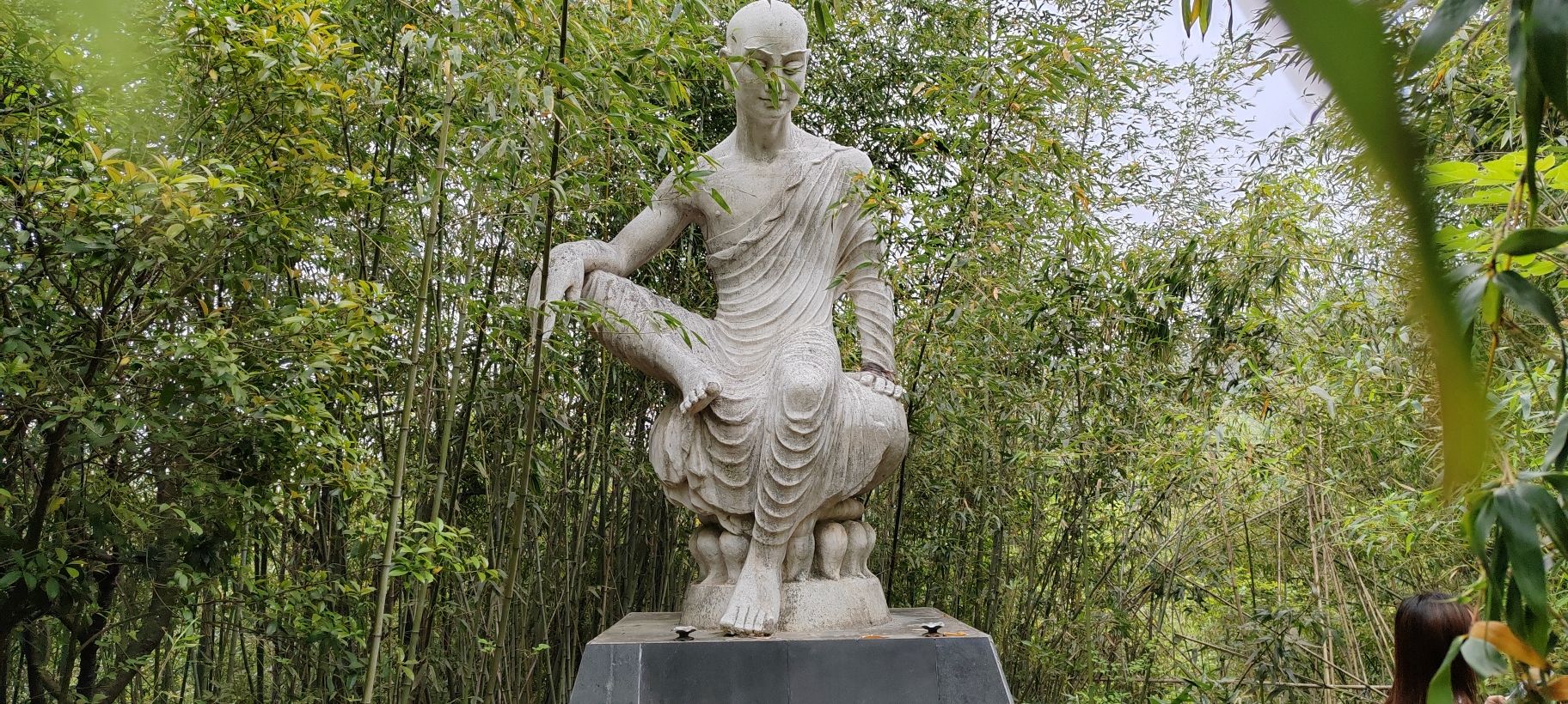 紫蓬山国家森林公园旅行图片 2