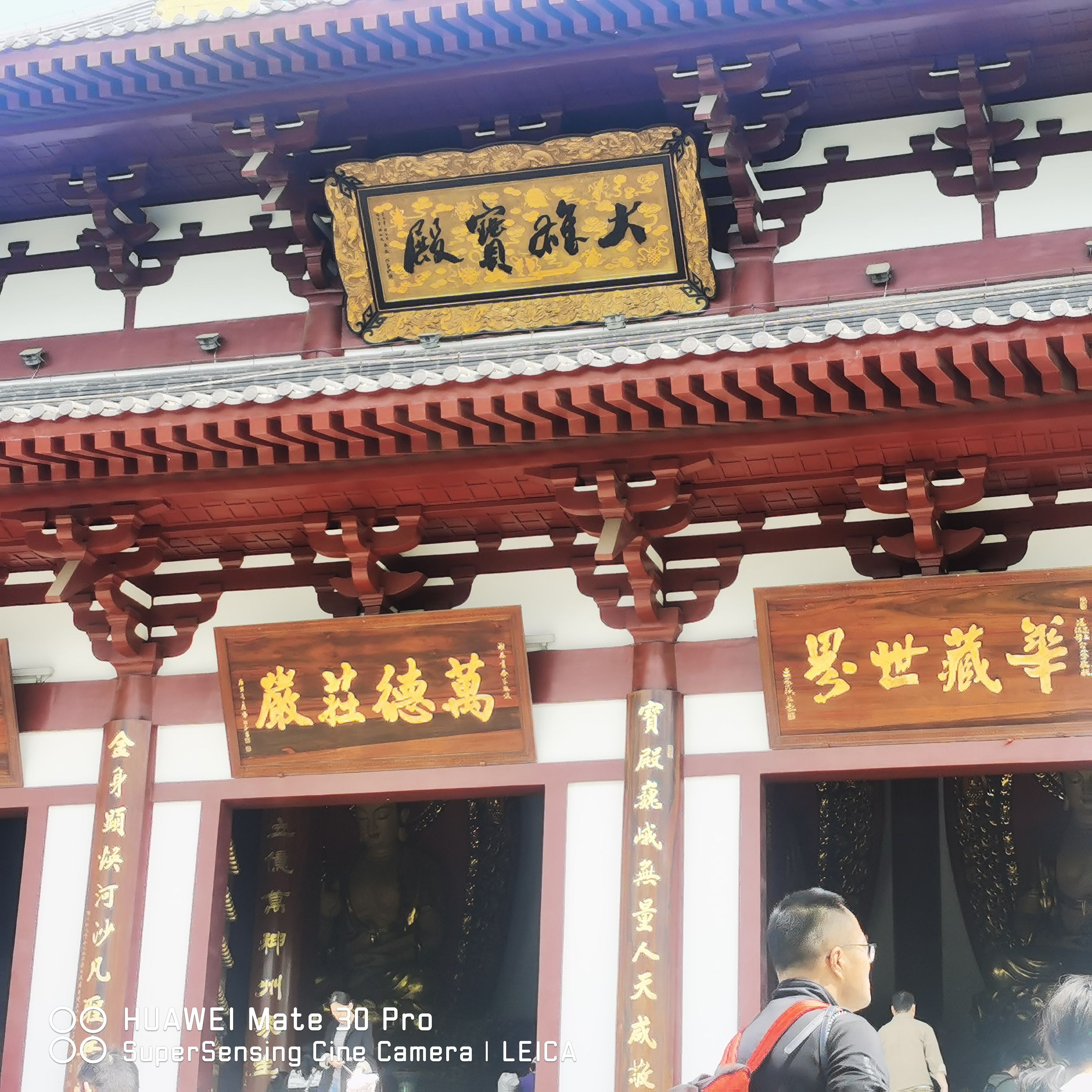 紫蓬山国家森林公园旅行图片 3