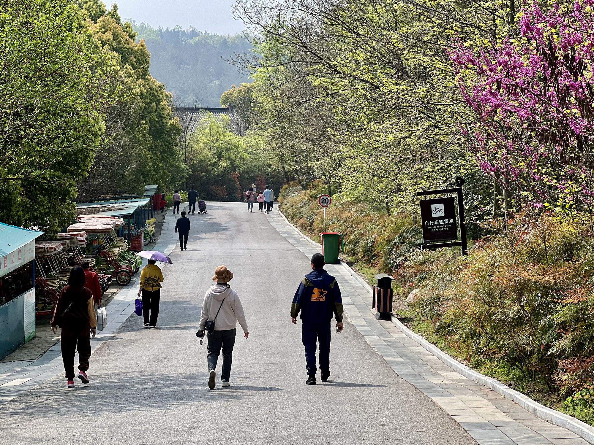 紫蓬山国家森林公园旅行图片 2