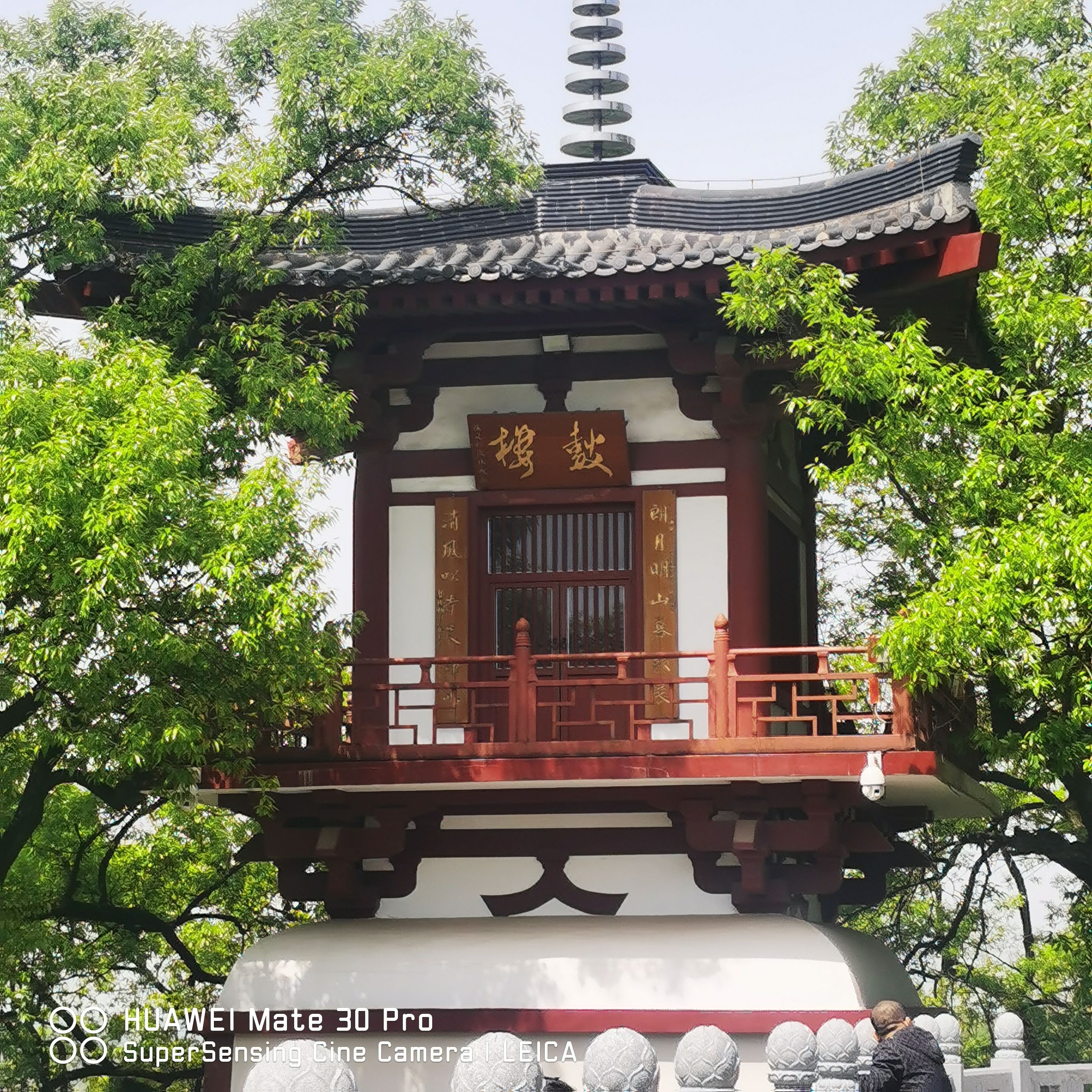 紫蓬山国家森林公园旅行图片 2
