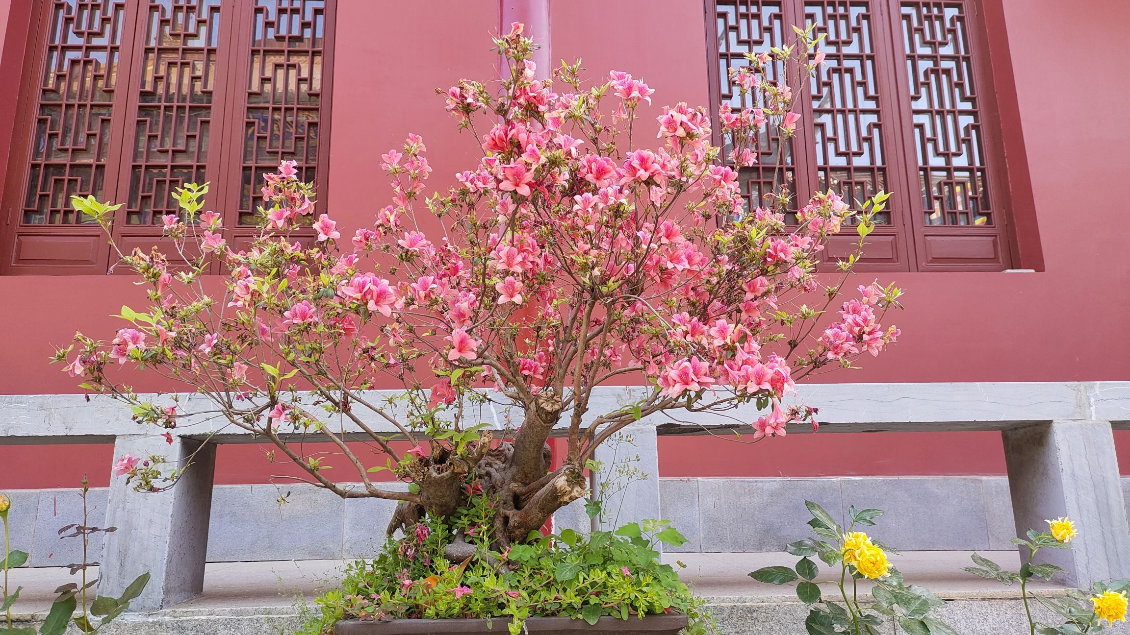 鼓山公园旅行图片 3