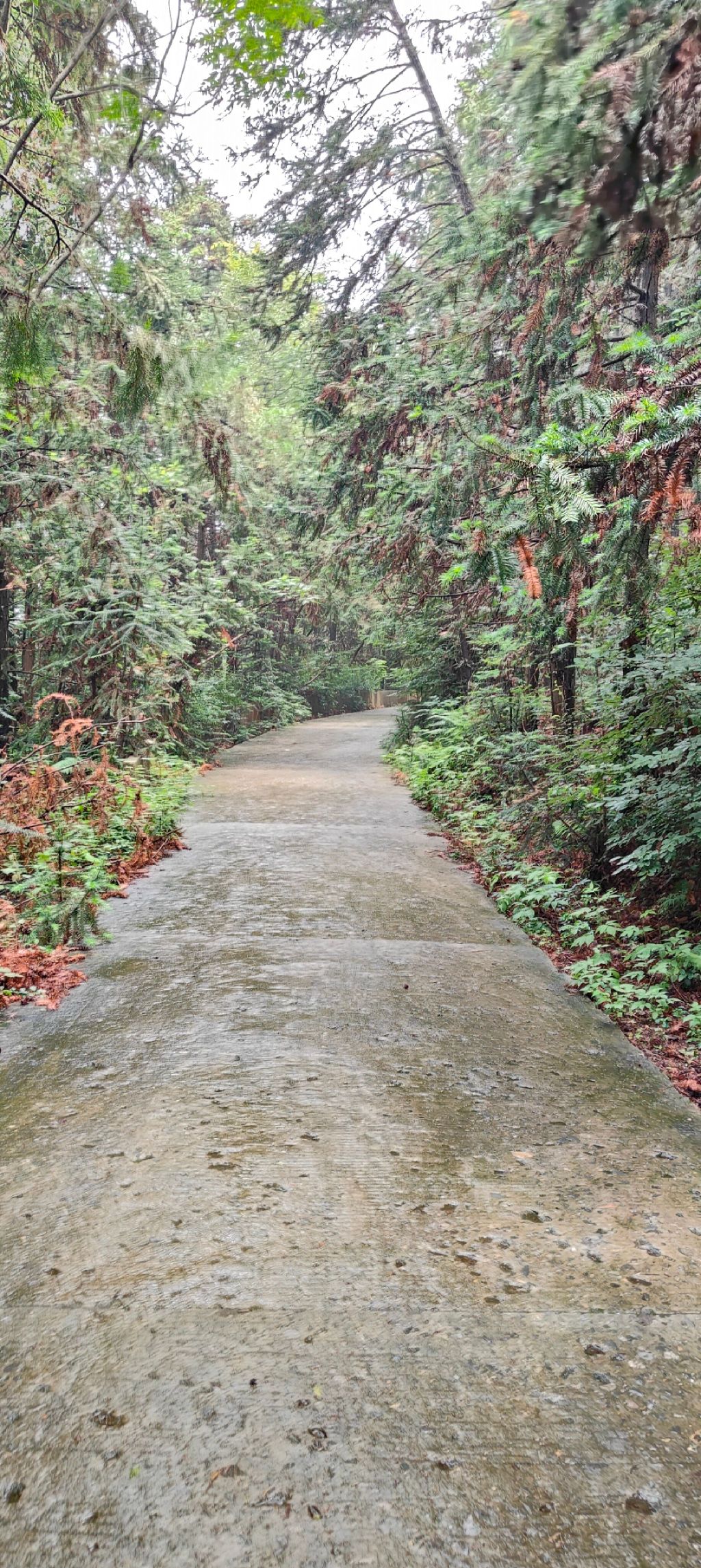 鼓山公园旅行图片 1
