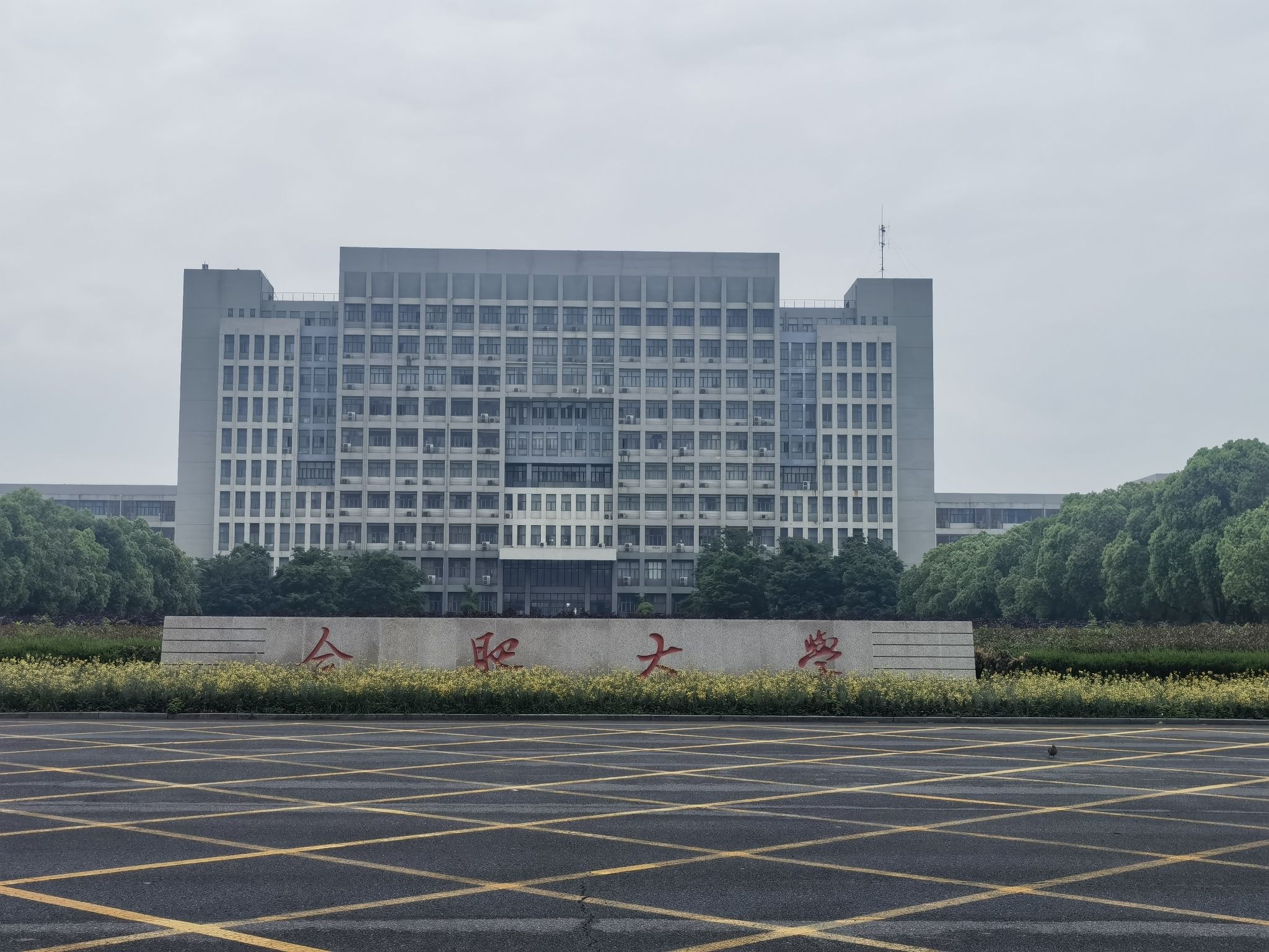 合肥大学