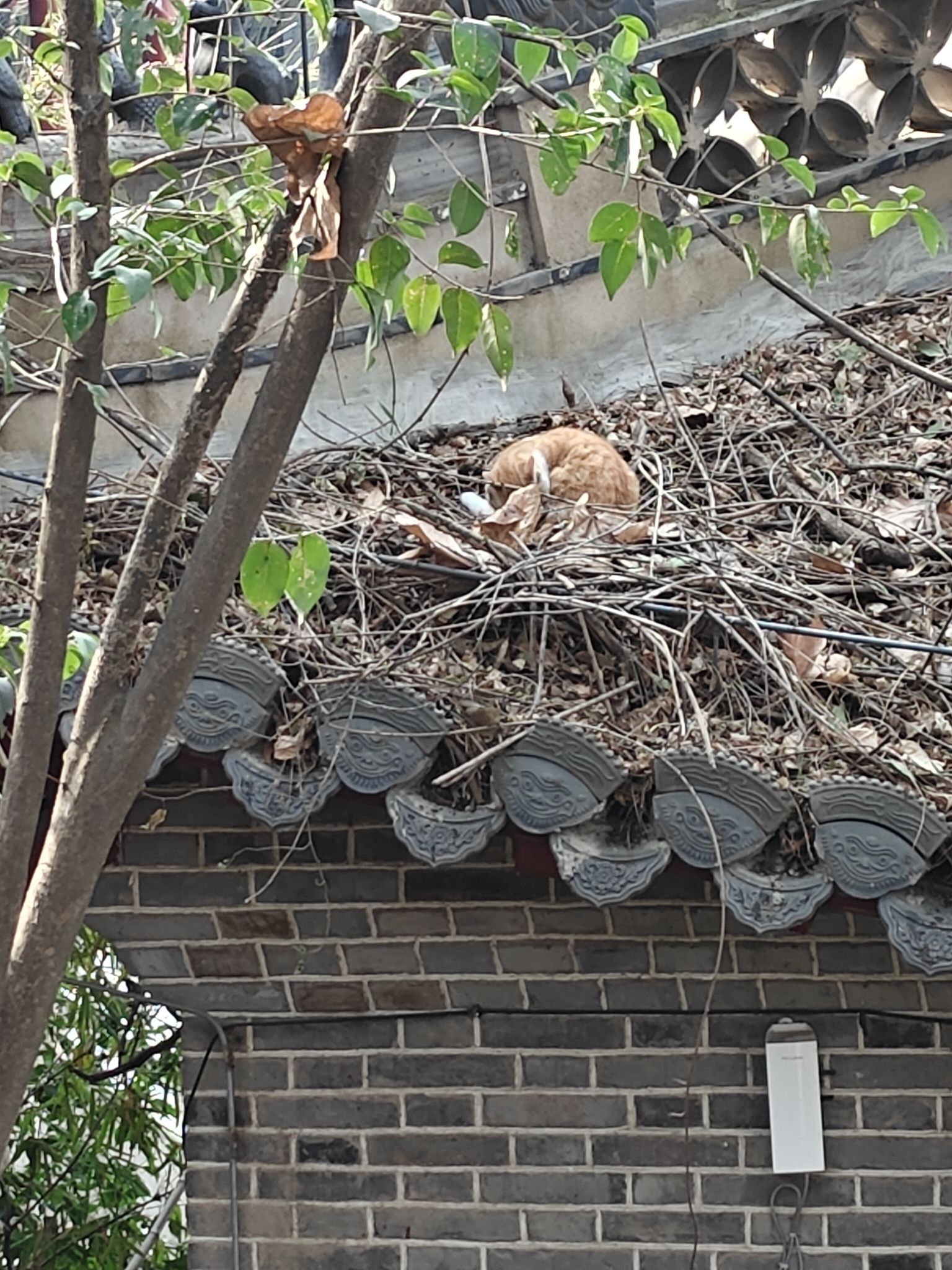 白乳泉公园旅行图片 2