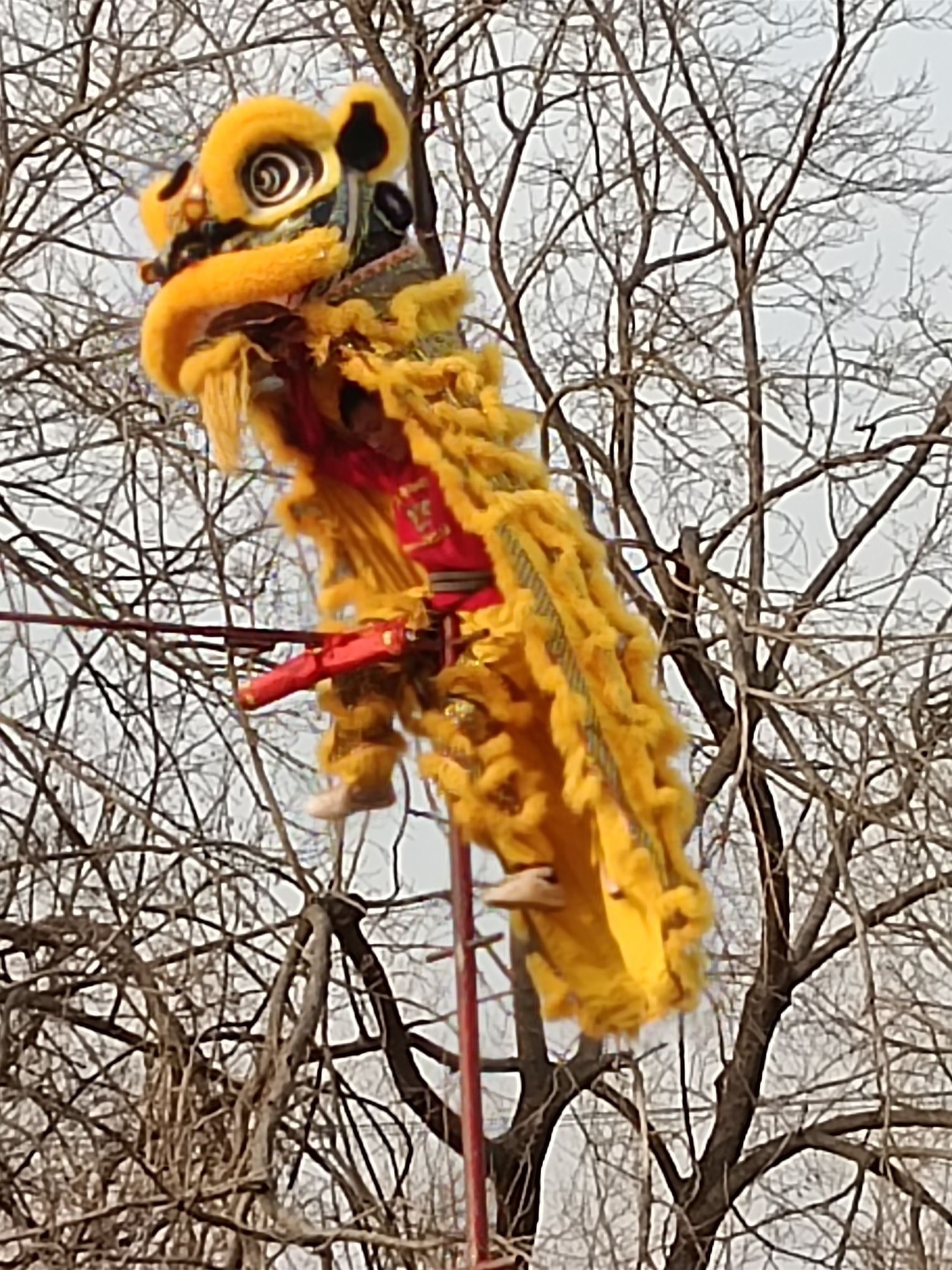 垓下古战场旅行图片 3