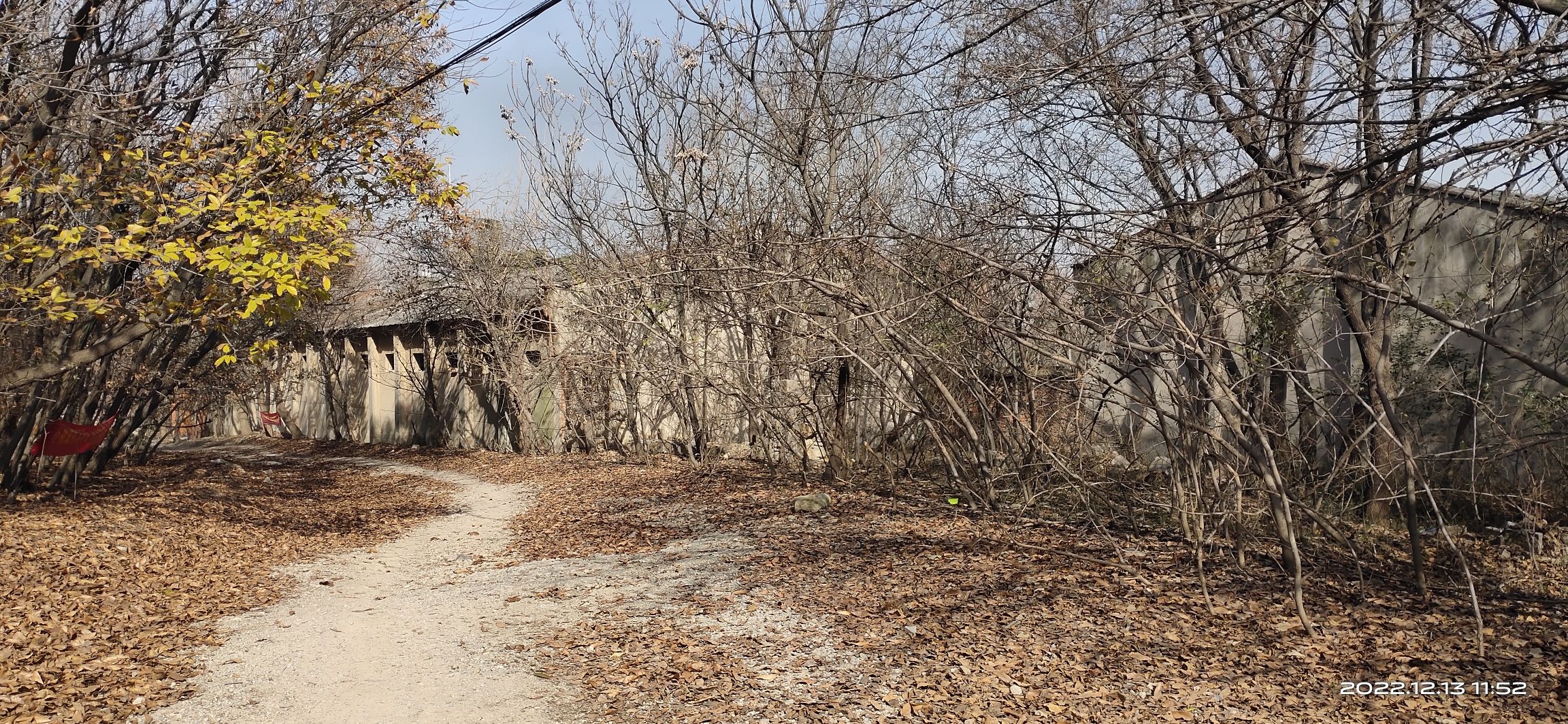 锥子山森林公园旅行图片 3