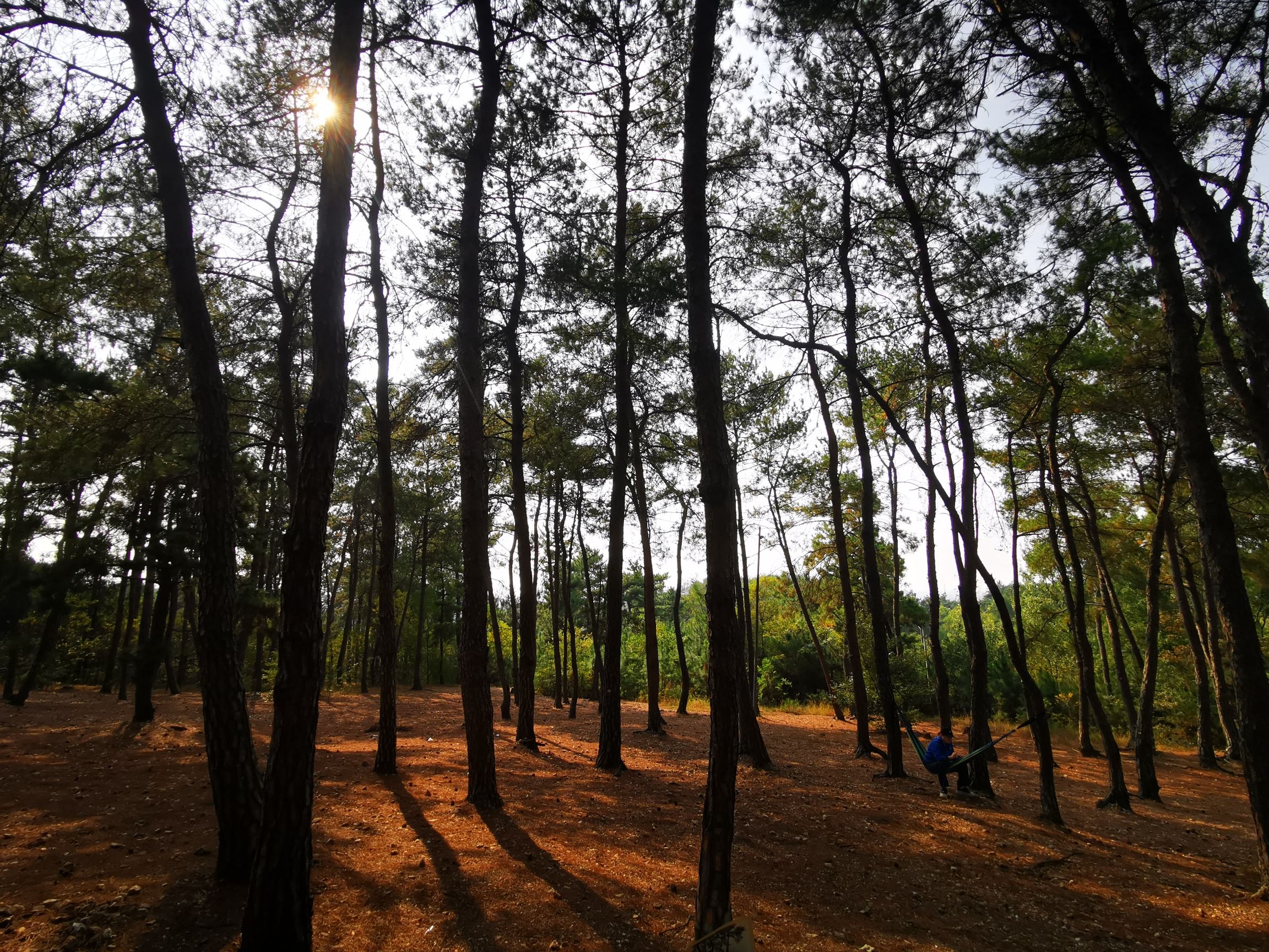 大巩山森林公园旅行图片 2