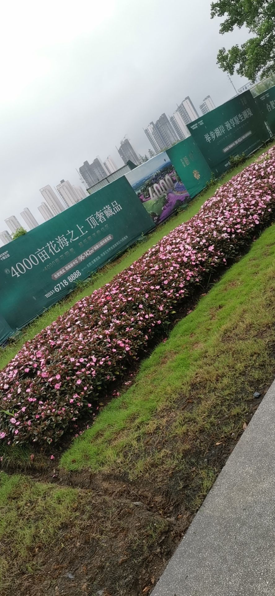 大巩山森林公园旅行图片 1