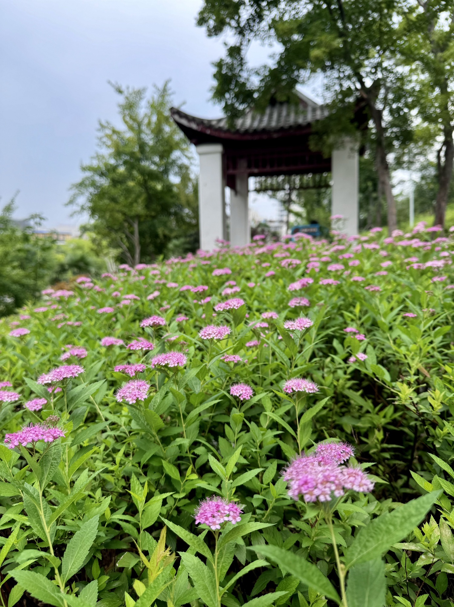 南山公园