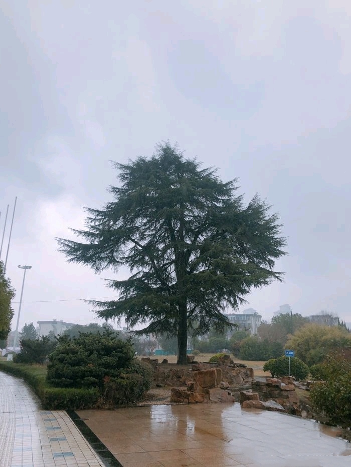奥林匹克公园旅行图片 3