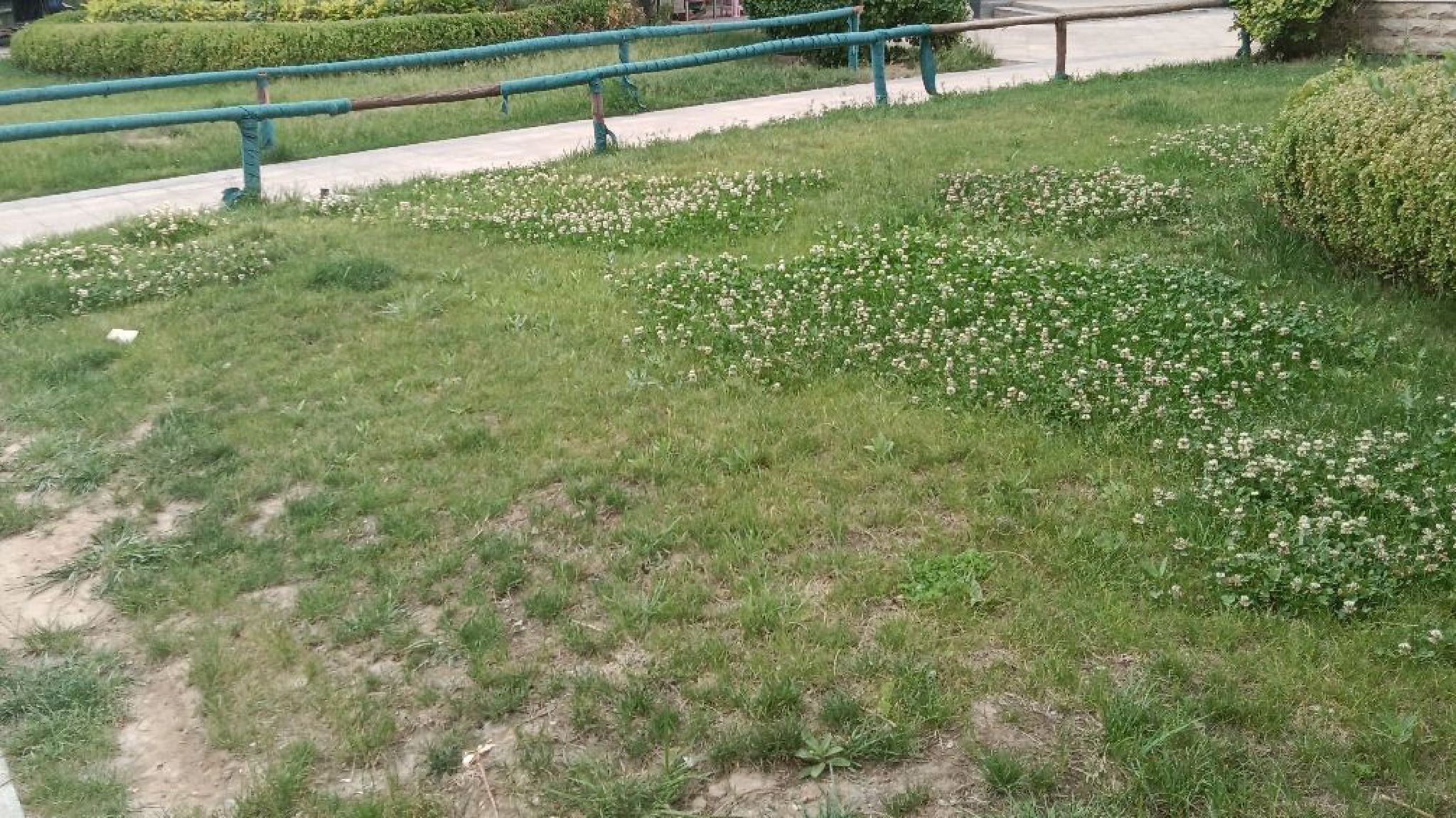 安徽省芜湖市马仁森林公园旅行图片 1