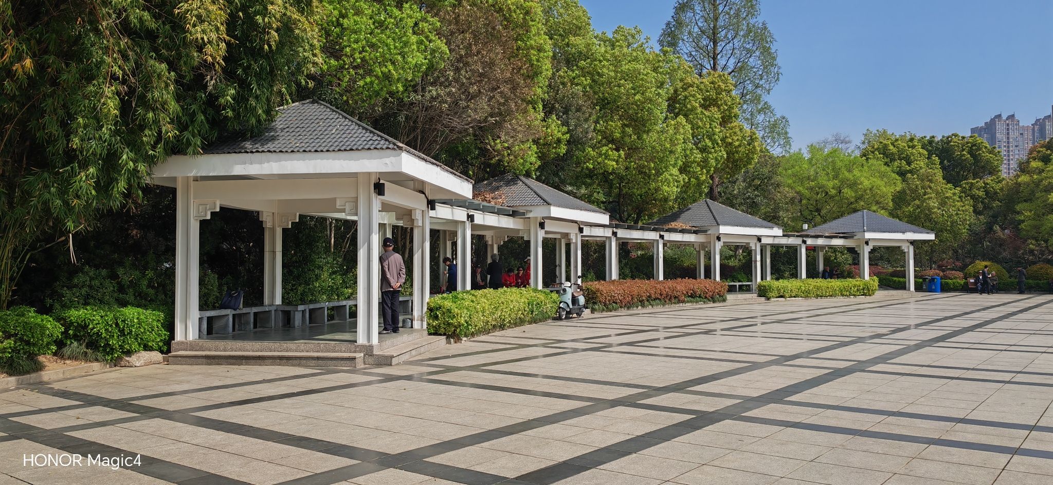 九莲塘公园旅行图片 3