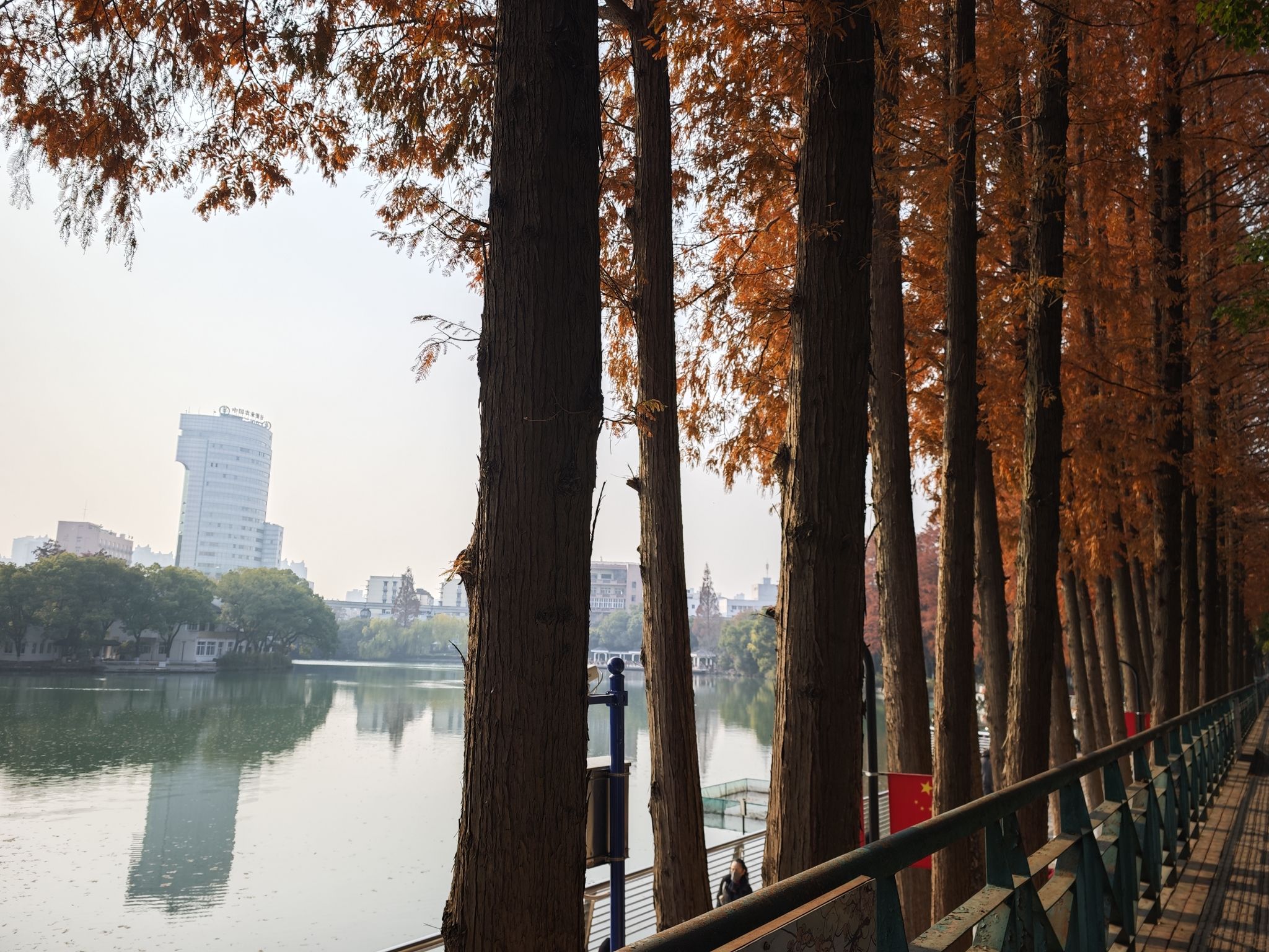 九莲塘公园旅行图片 2