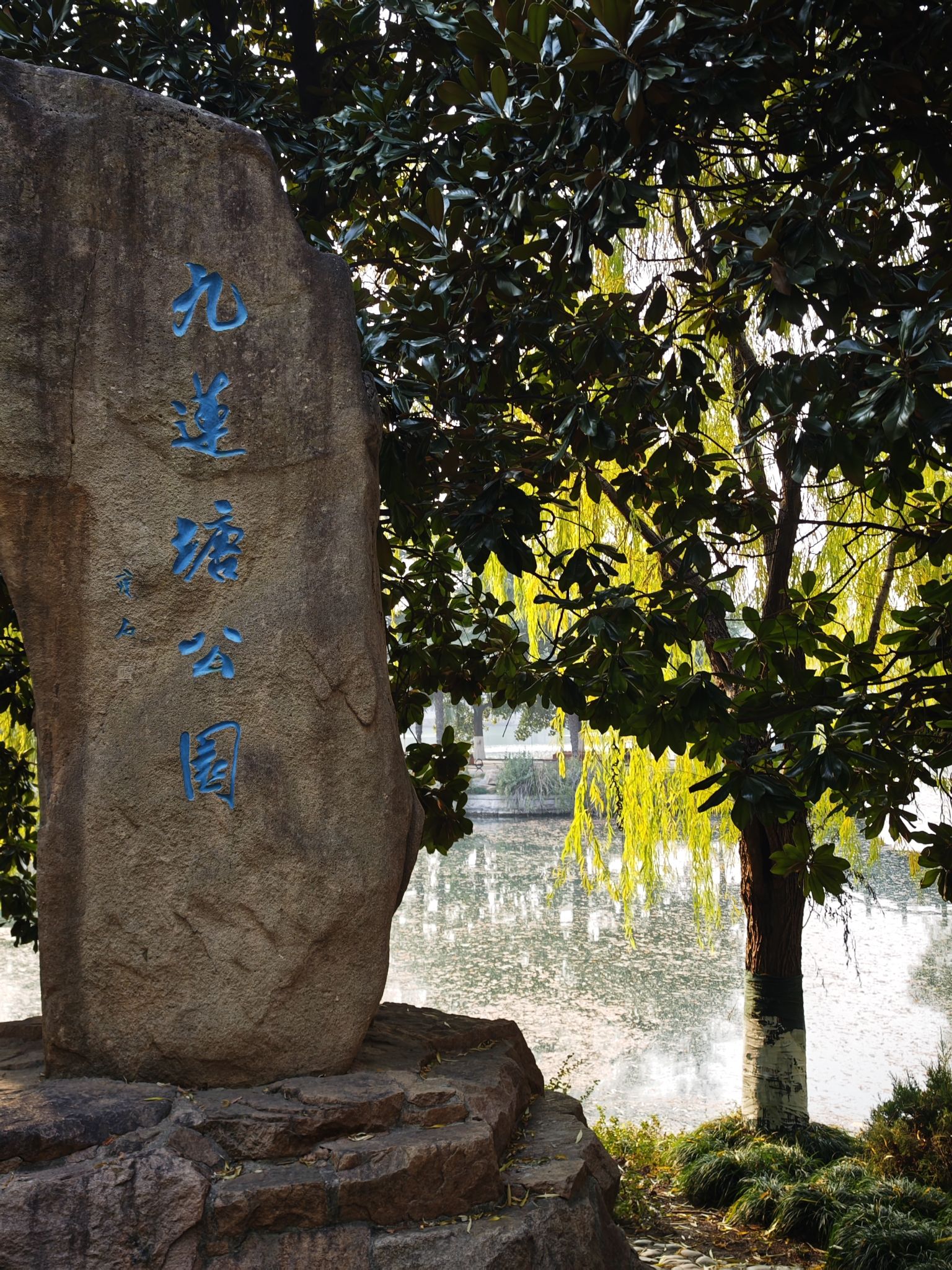 九莲塘公园旅行图片 1