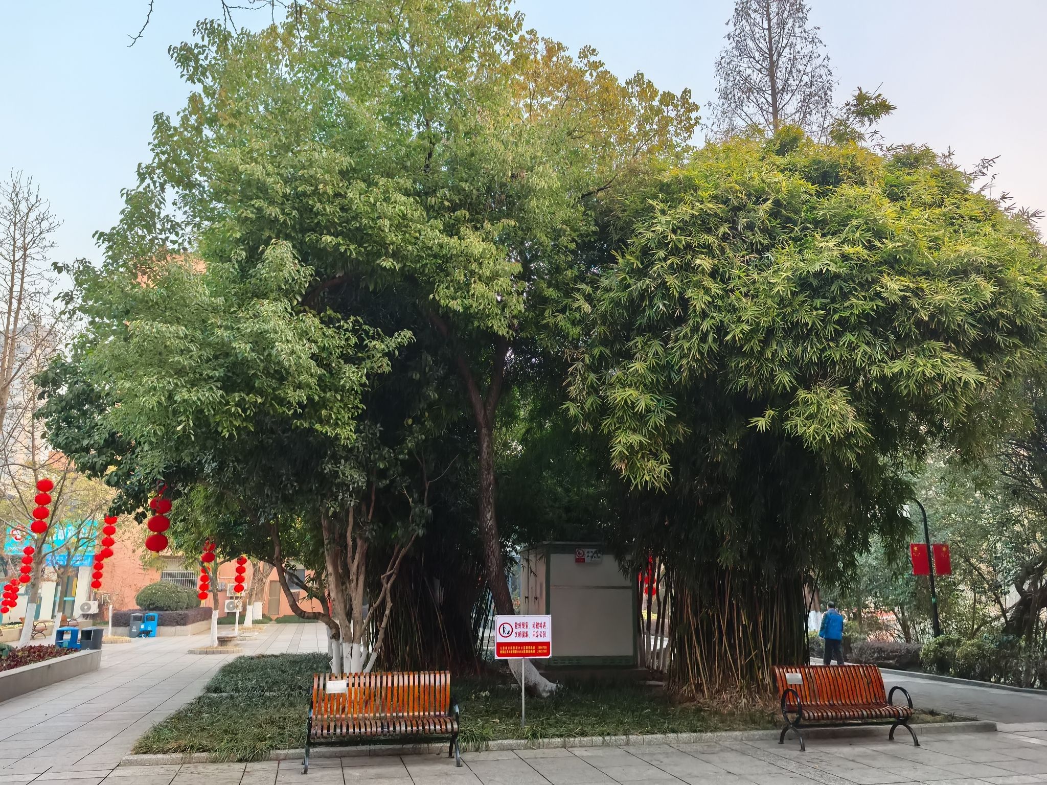 九莲塘公园旅行图片 3