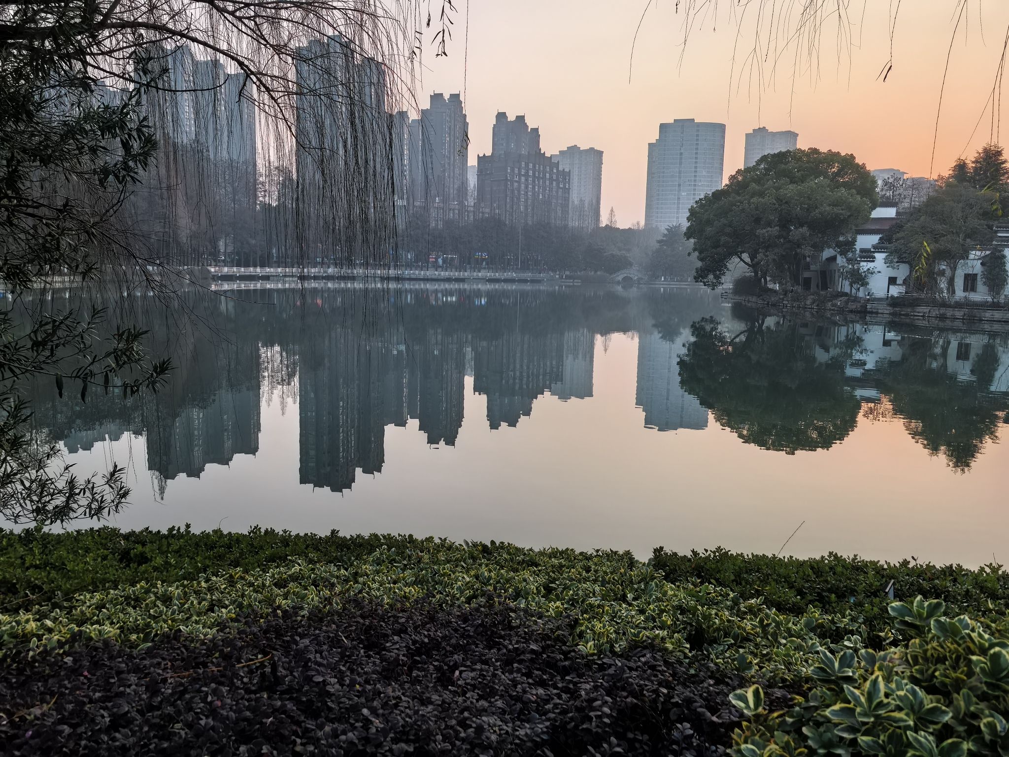九莲塘公园旅行图片 2