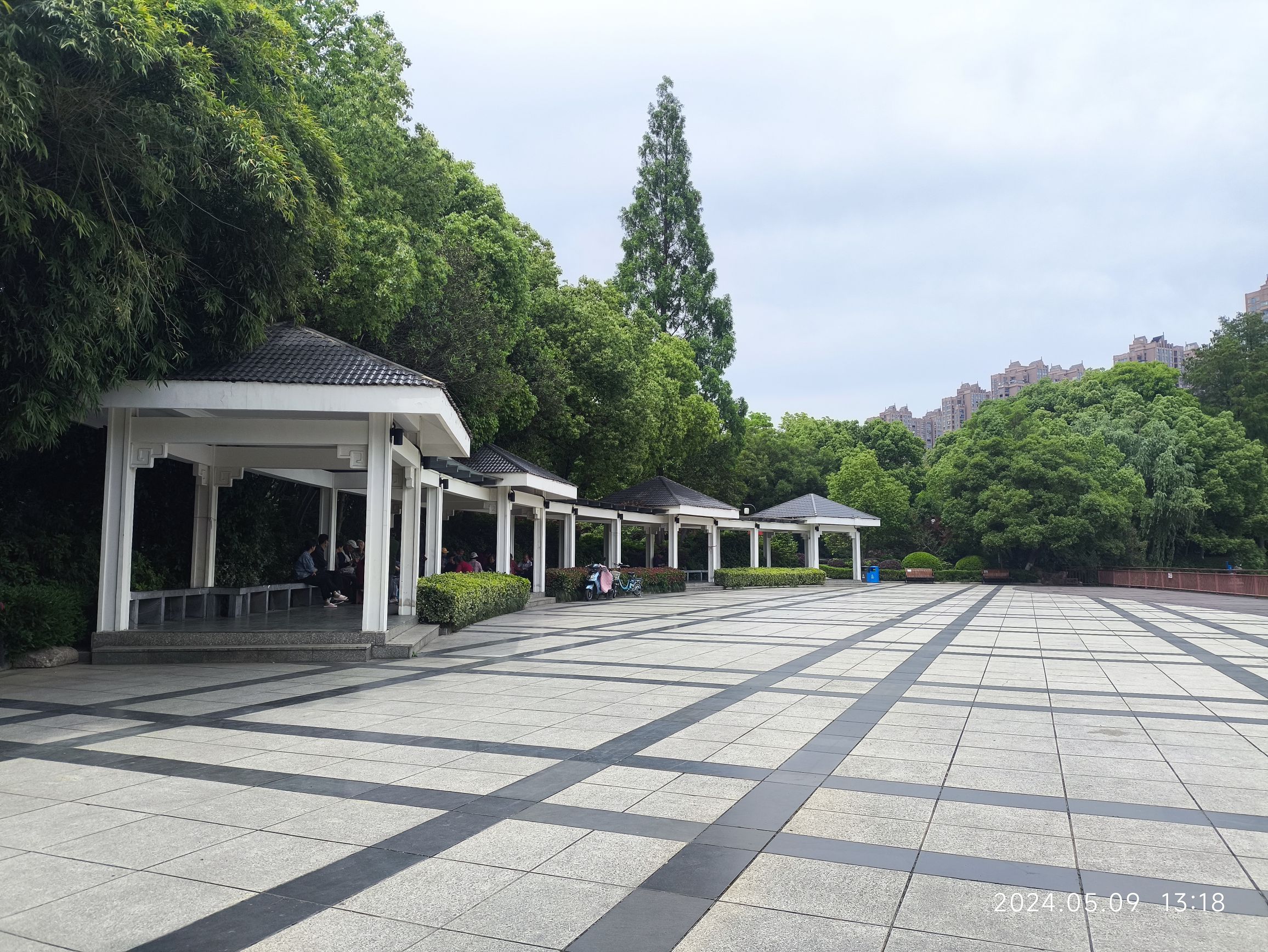 九莲塘公园旅行图片 1