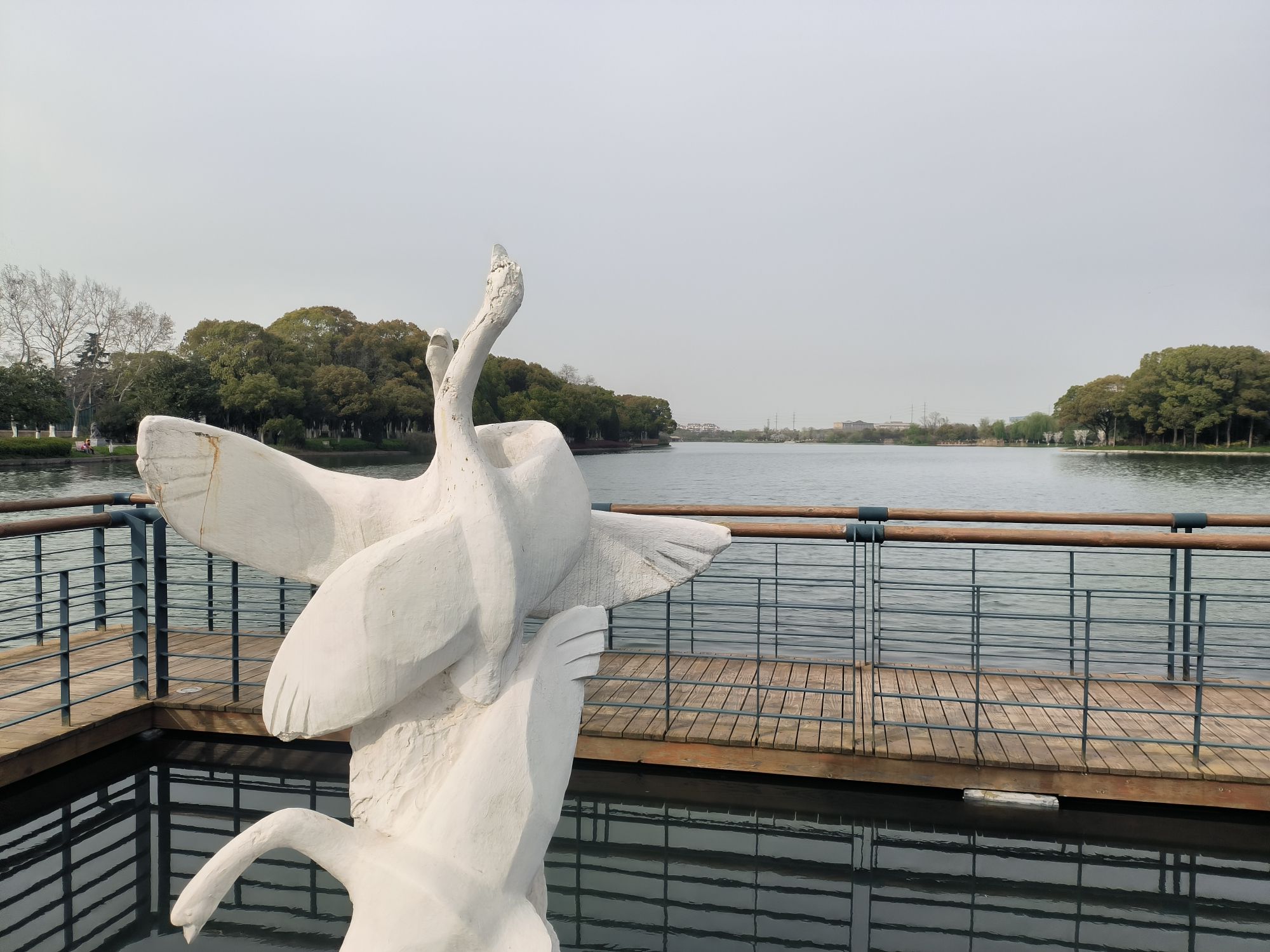 汀棠公园旅行图片 2