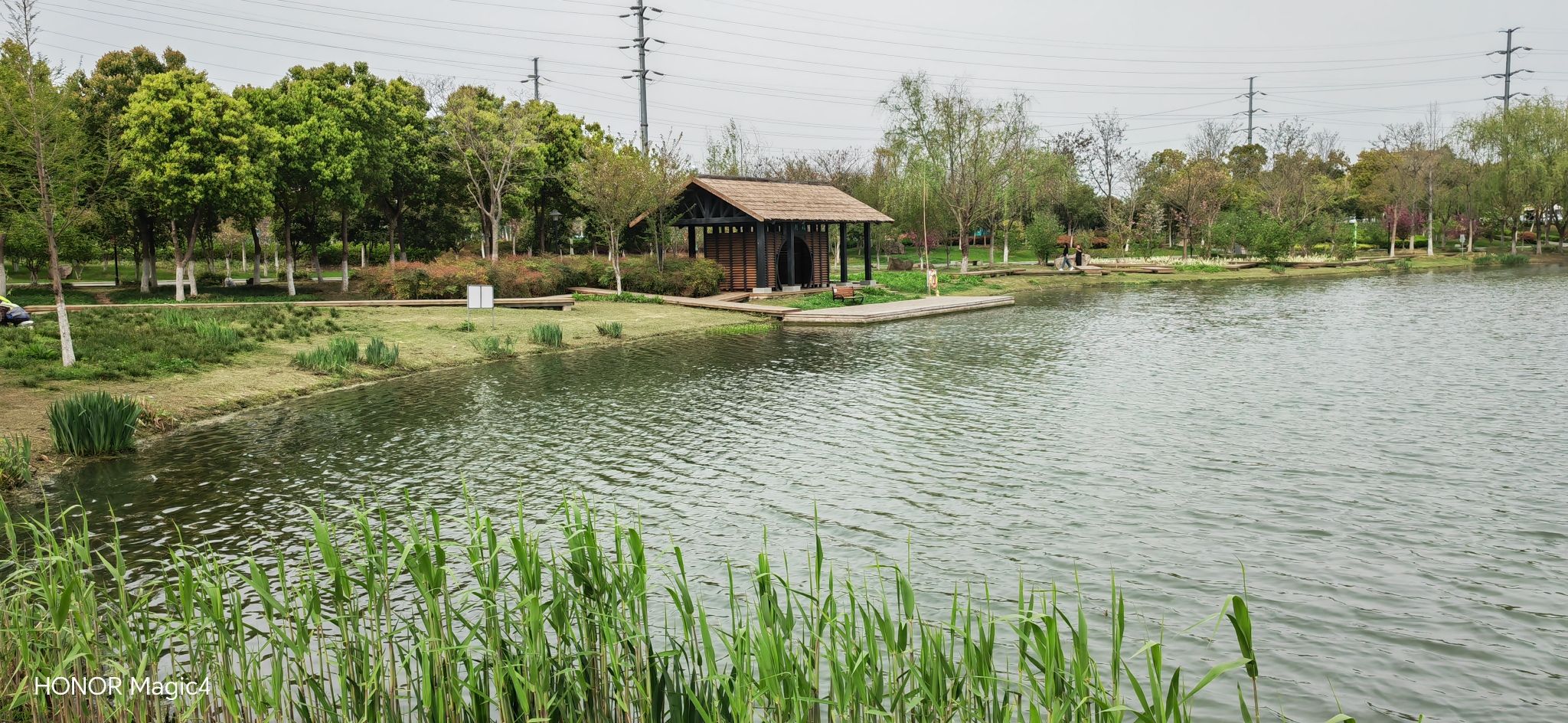 汀棠公园旅行图片 2