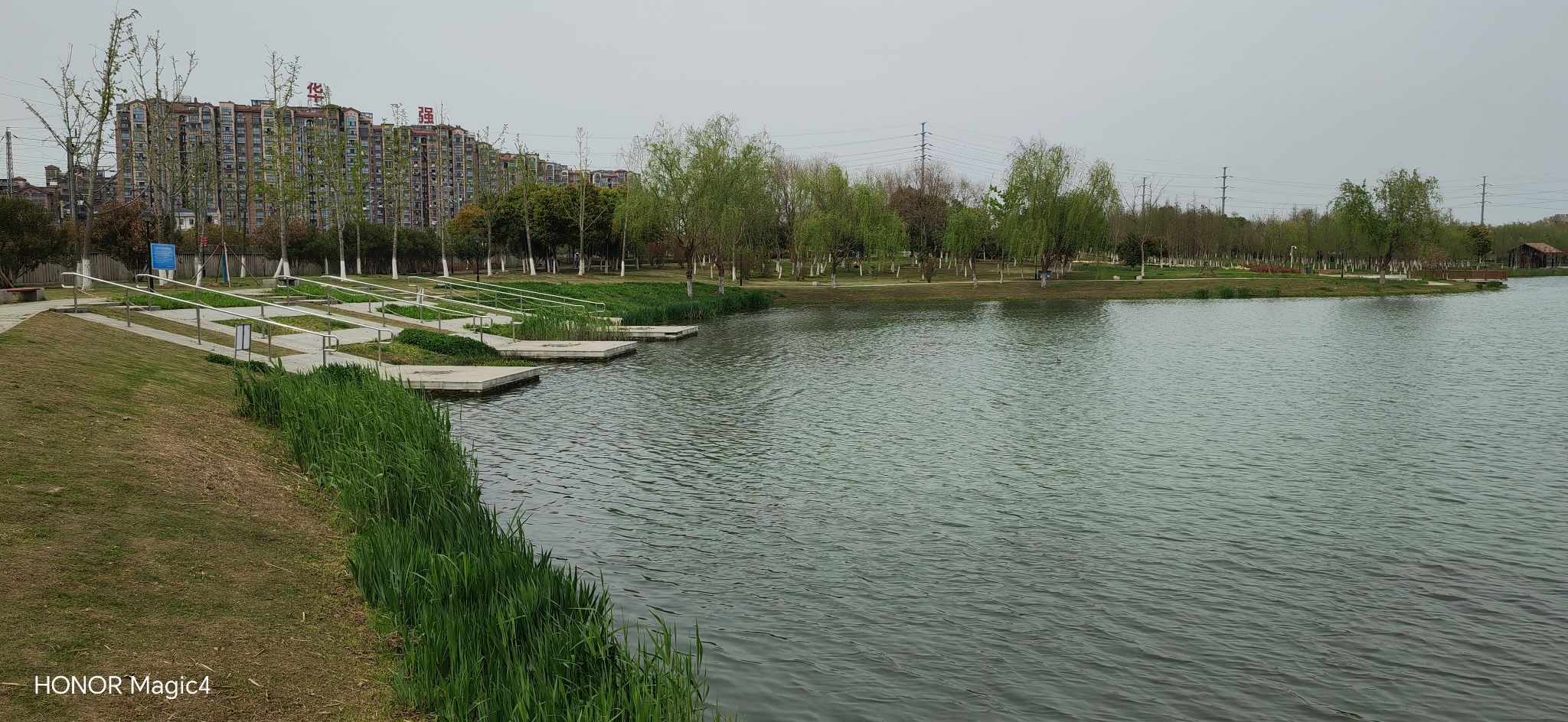 汀棠公园旅行图片 3