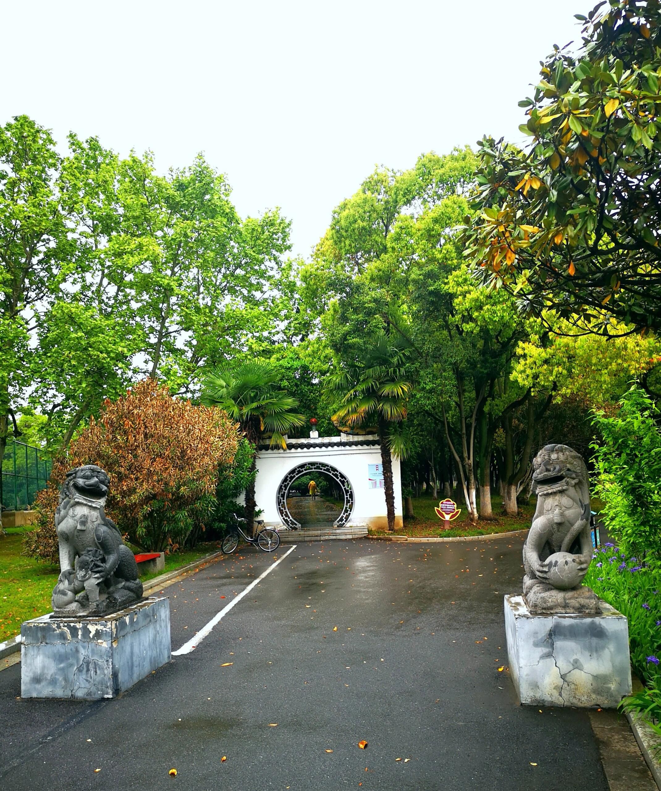 汀棠公园旅行图片 3