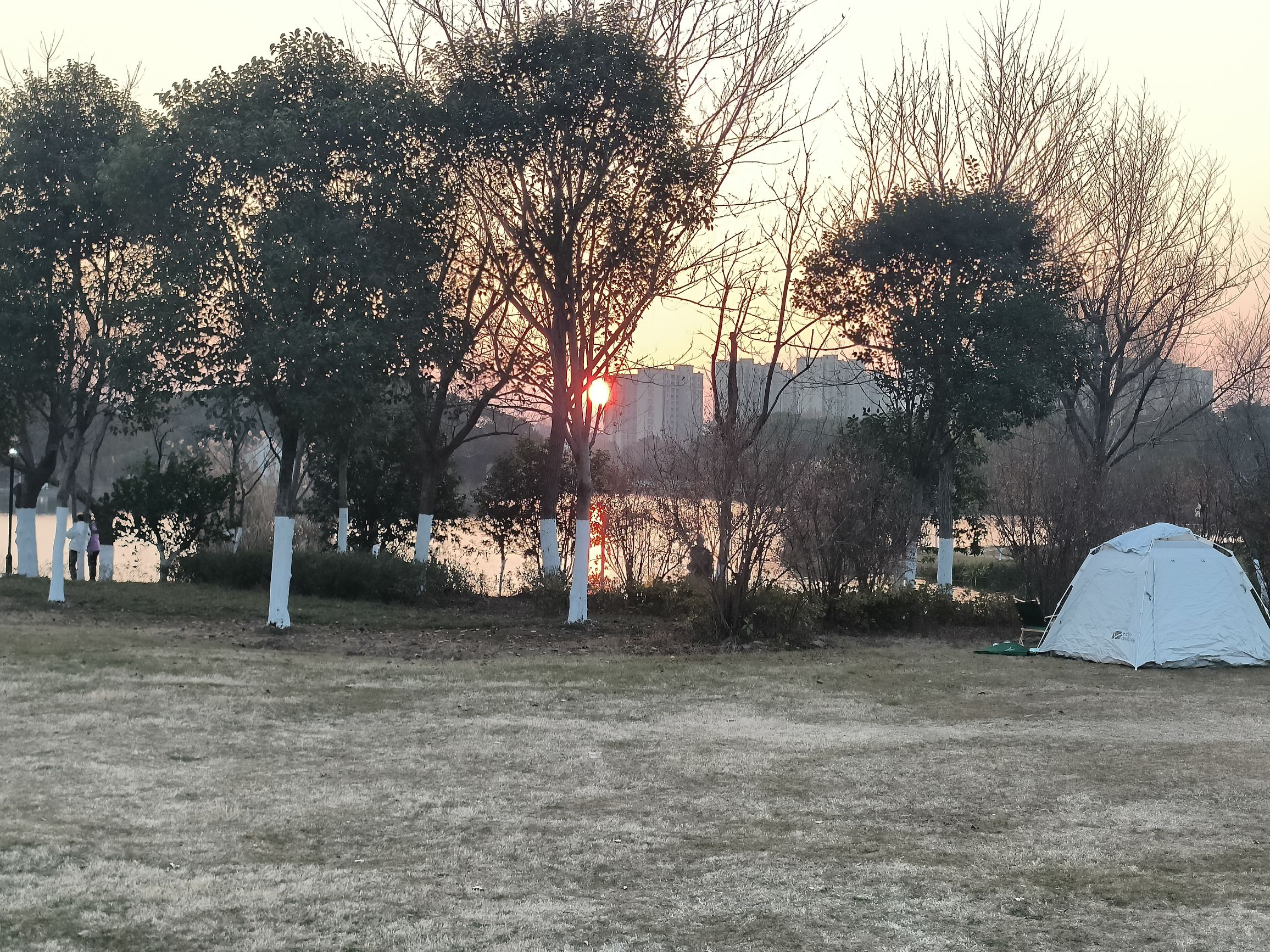 汀棠公园旅行图片 1