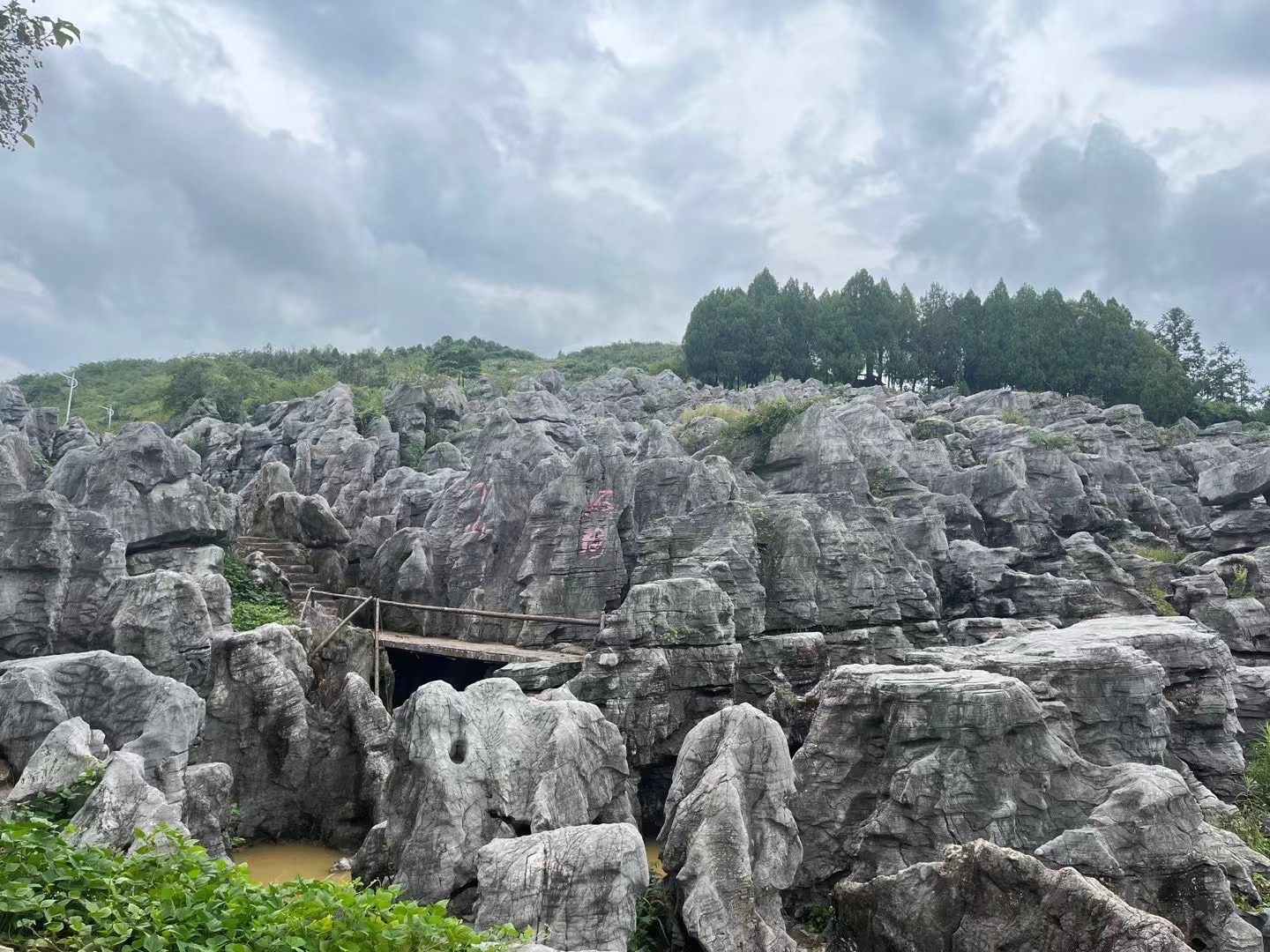 丫山花海石林风景区旅行图片 2