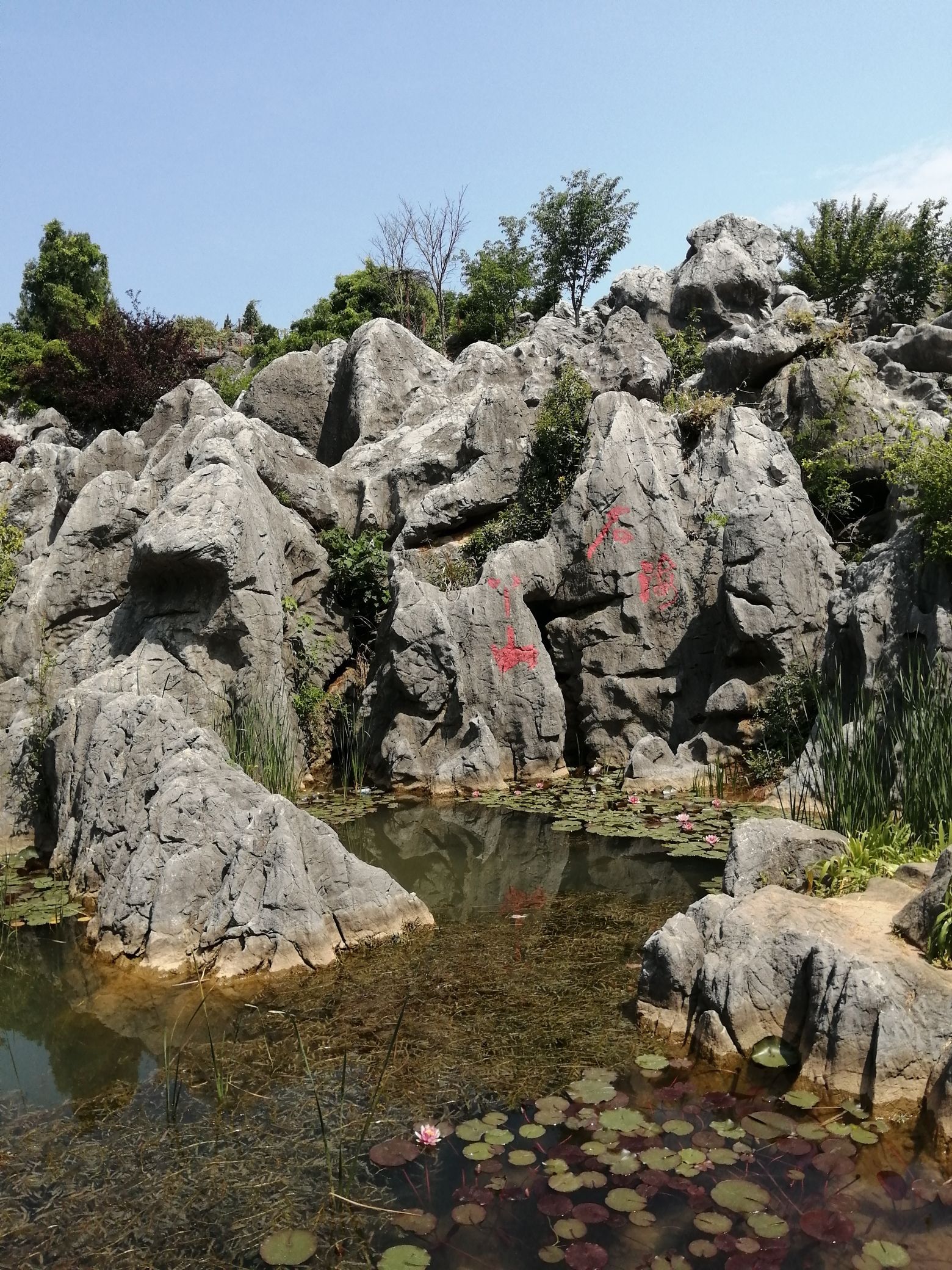 丫山花海石林风景区旅行图片 2