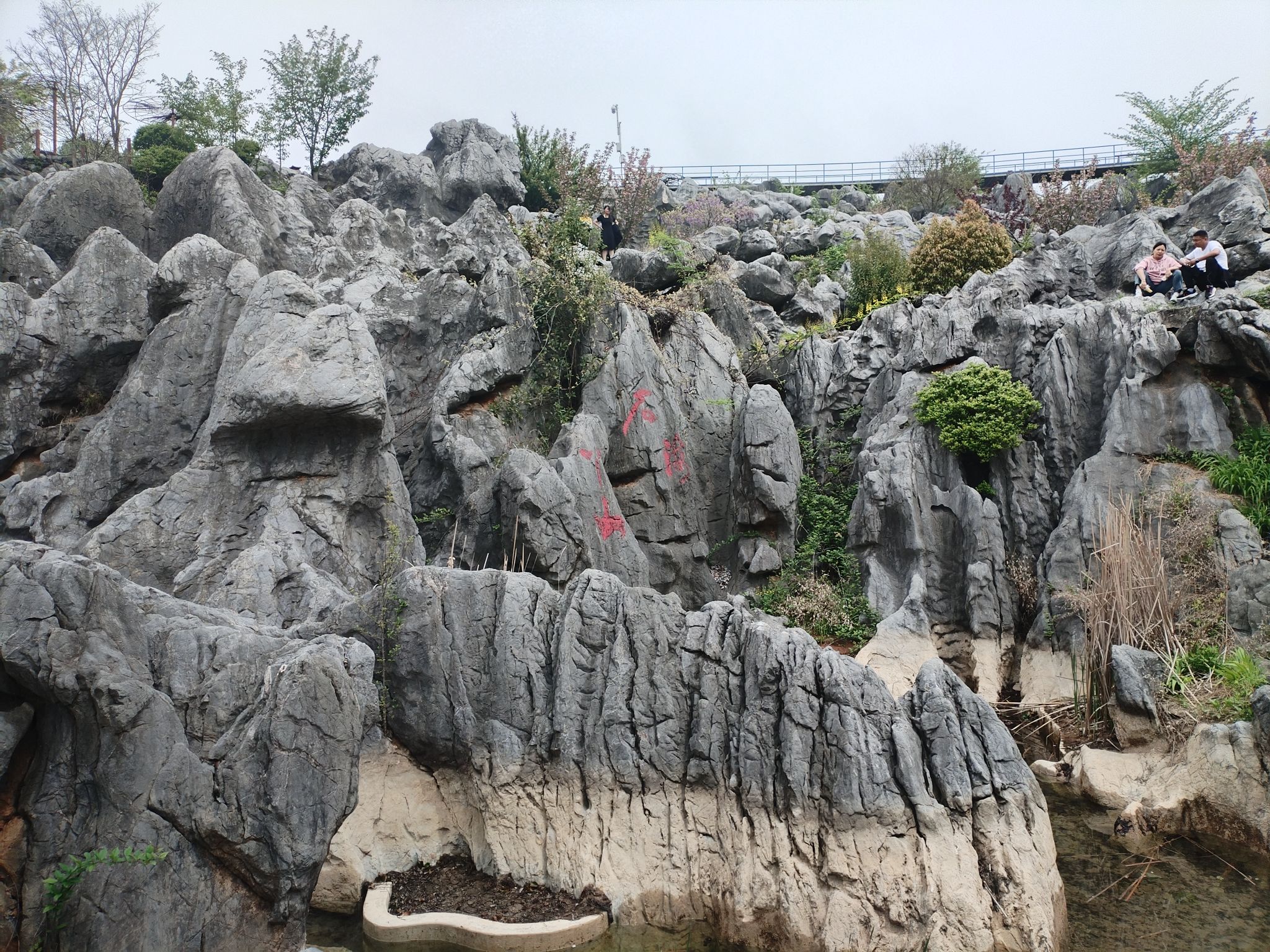 丫山花海石林风景区旅行图片 2