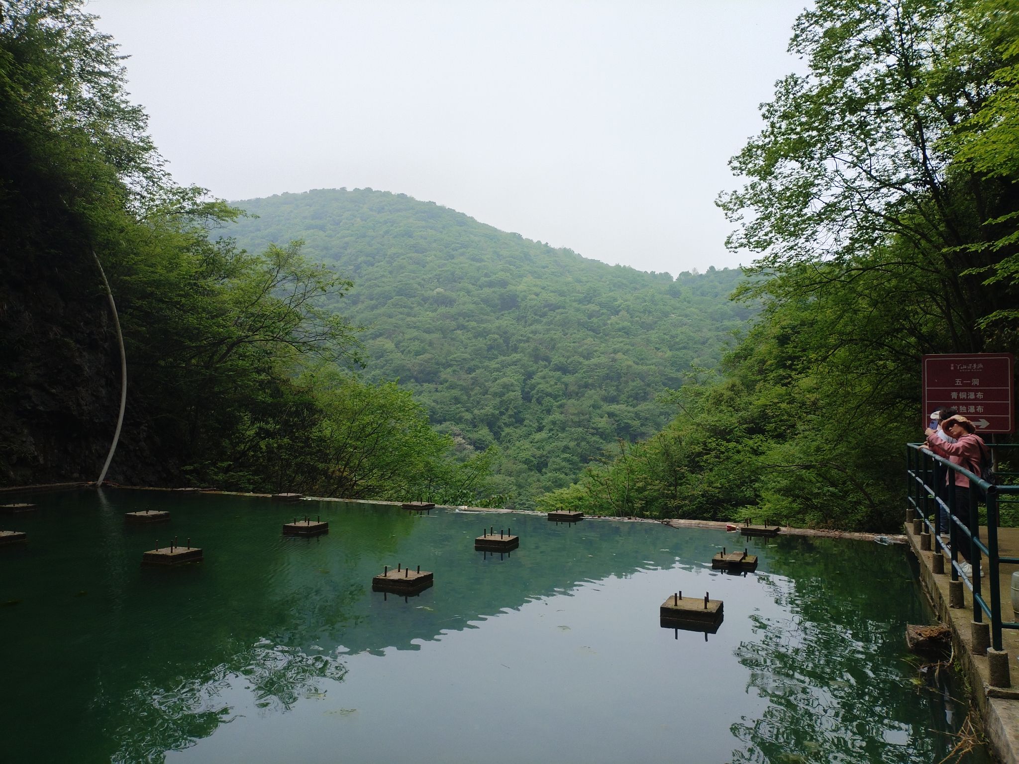丫山花海石林风景区旅行图片 3