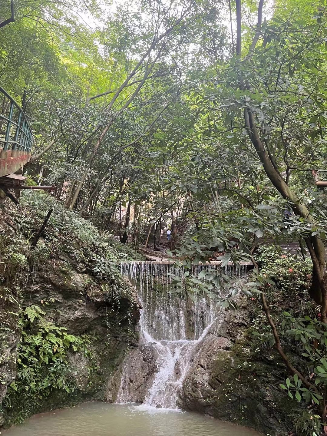 丫山花海石林风景区旅行图片 1
