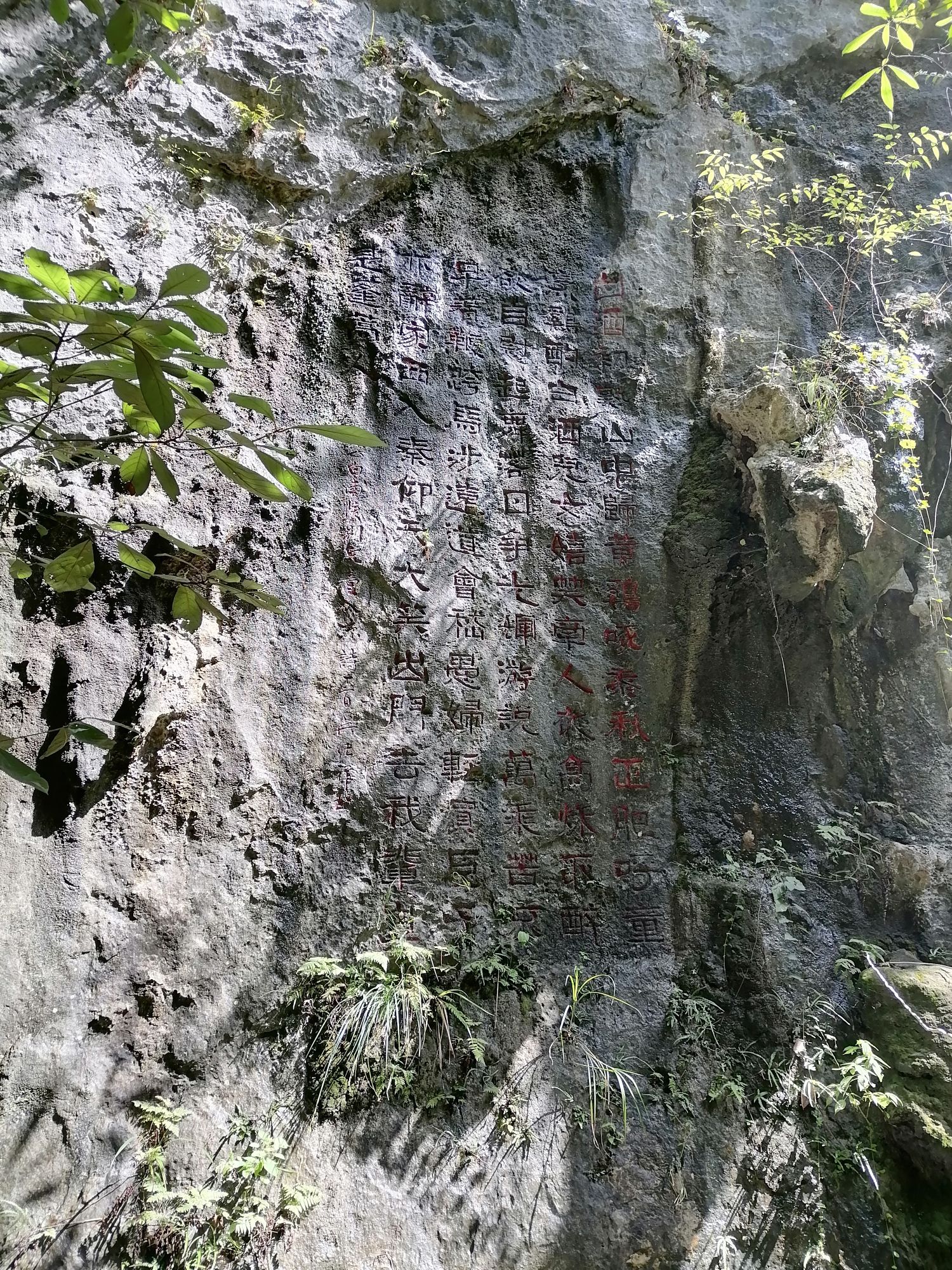 丫山花海石林风景区旅行图片 3