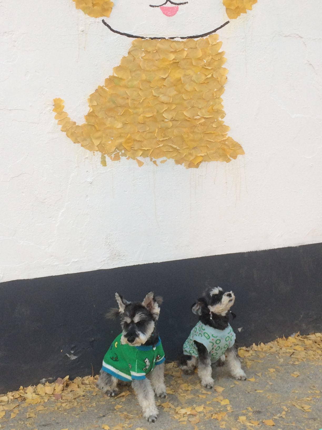 赭山公园旅行图片 2