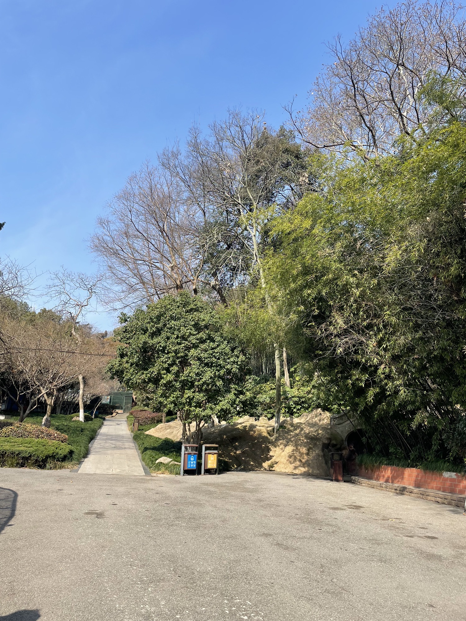 赭山公园旅行图片 1