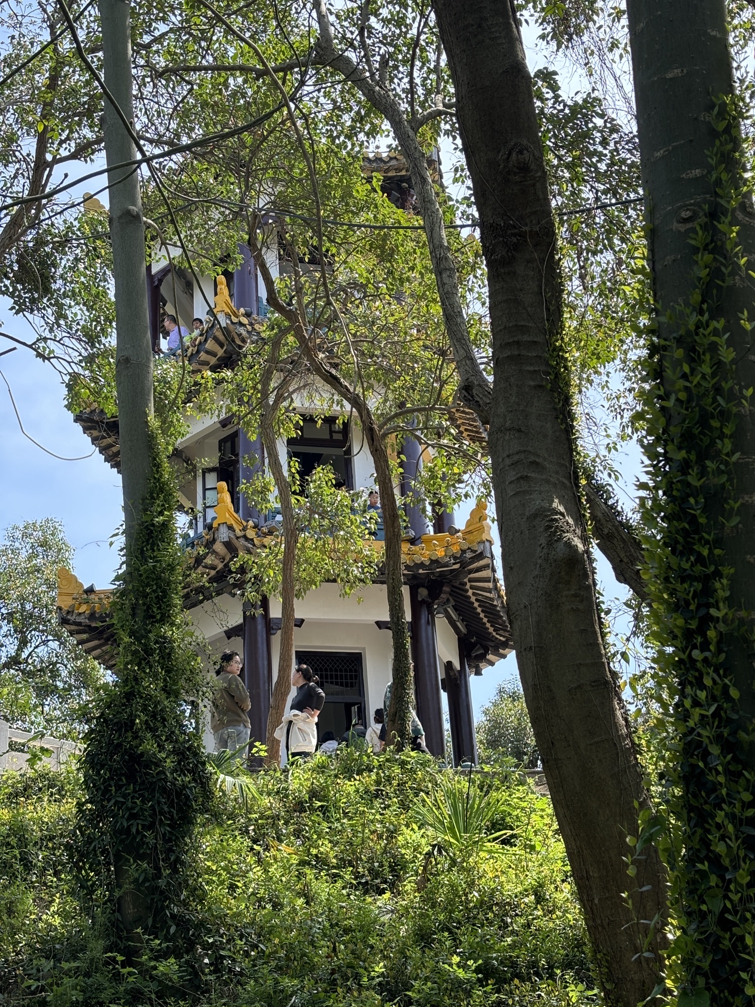 赭山公园旅行图片 3