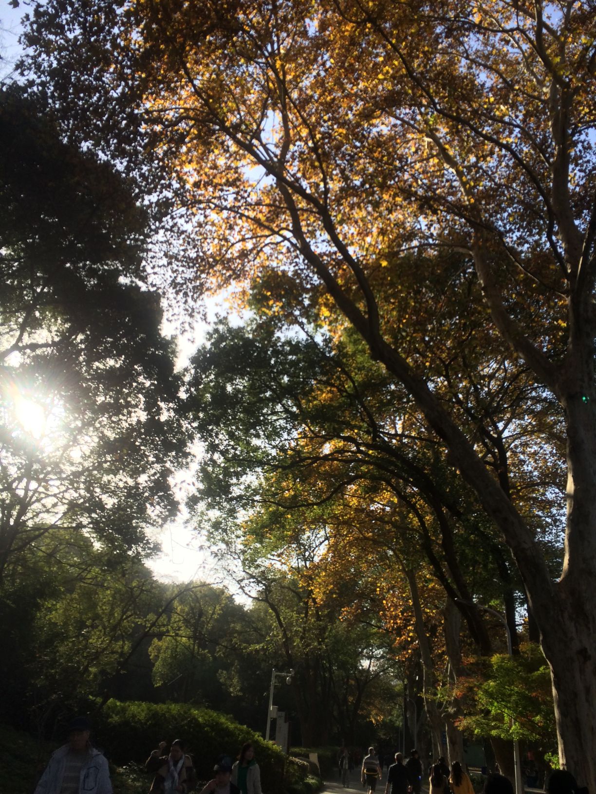 赭山公园旅行图片 1