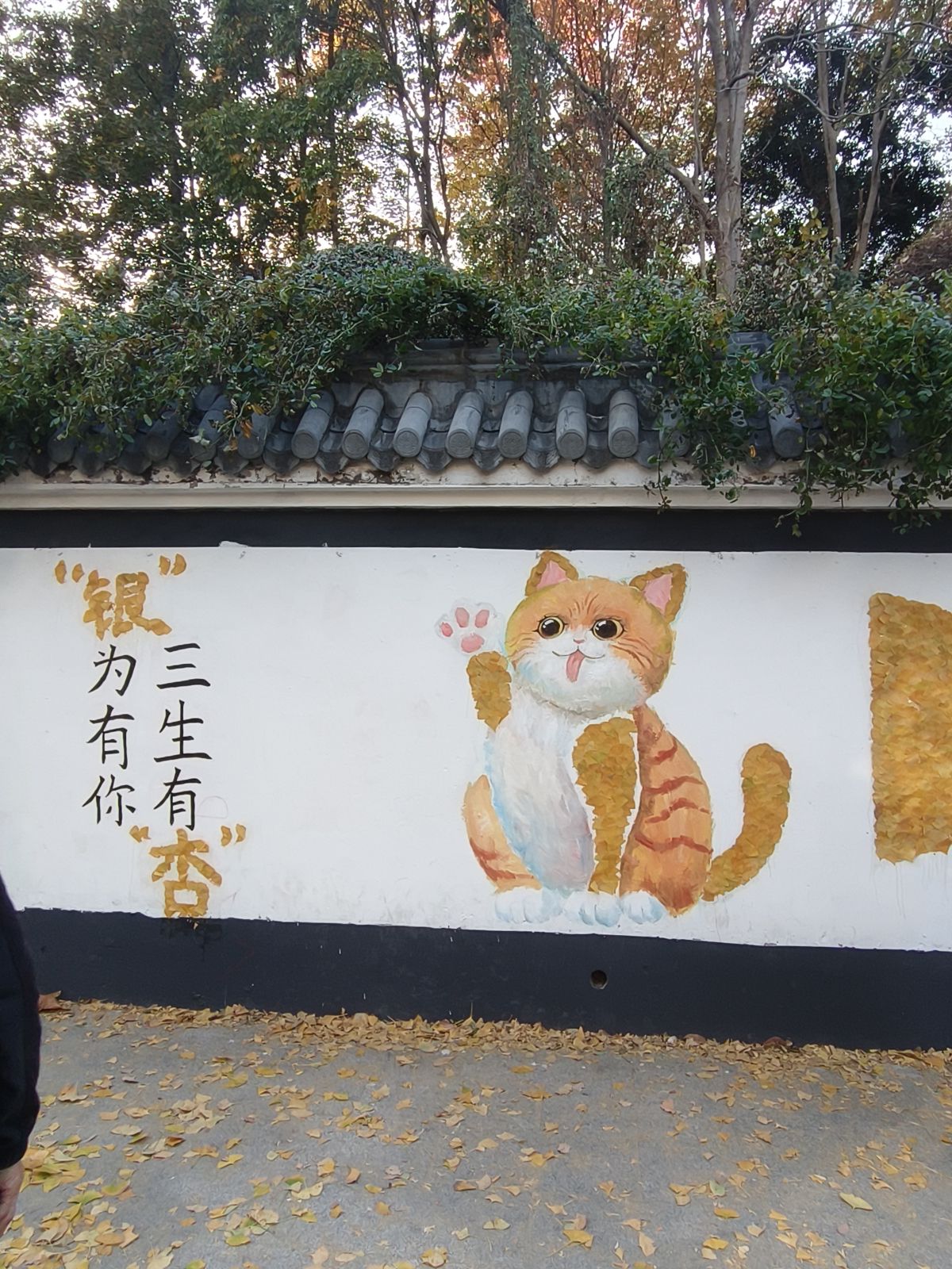 赭山公园旅行图片 3