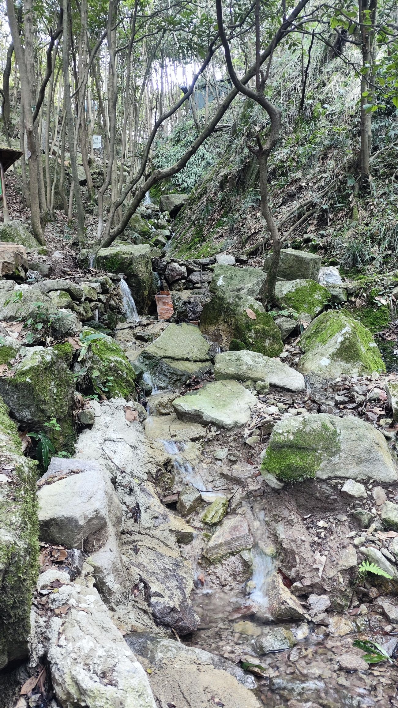 马仁奇峰景区旅行图片 2