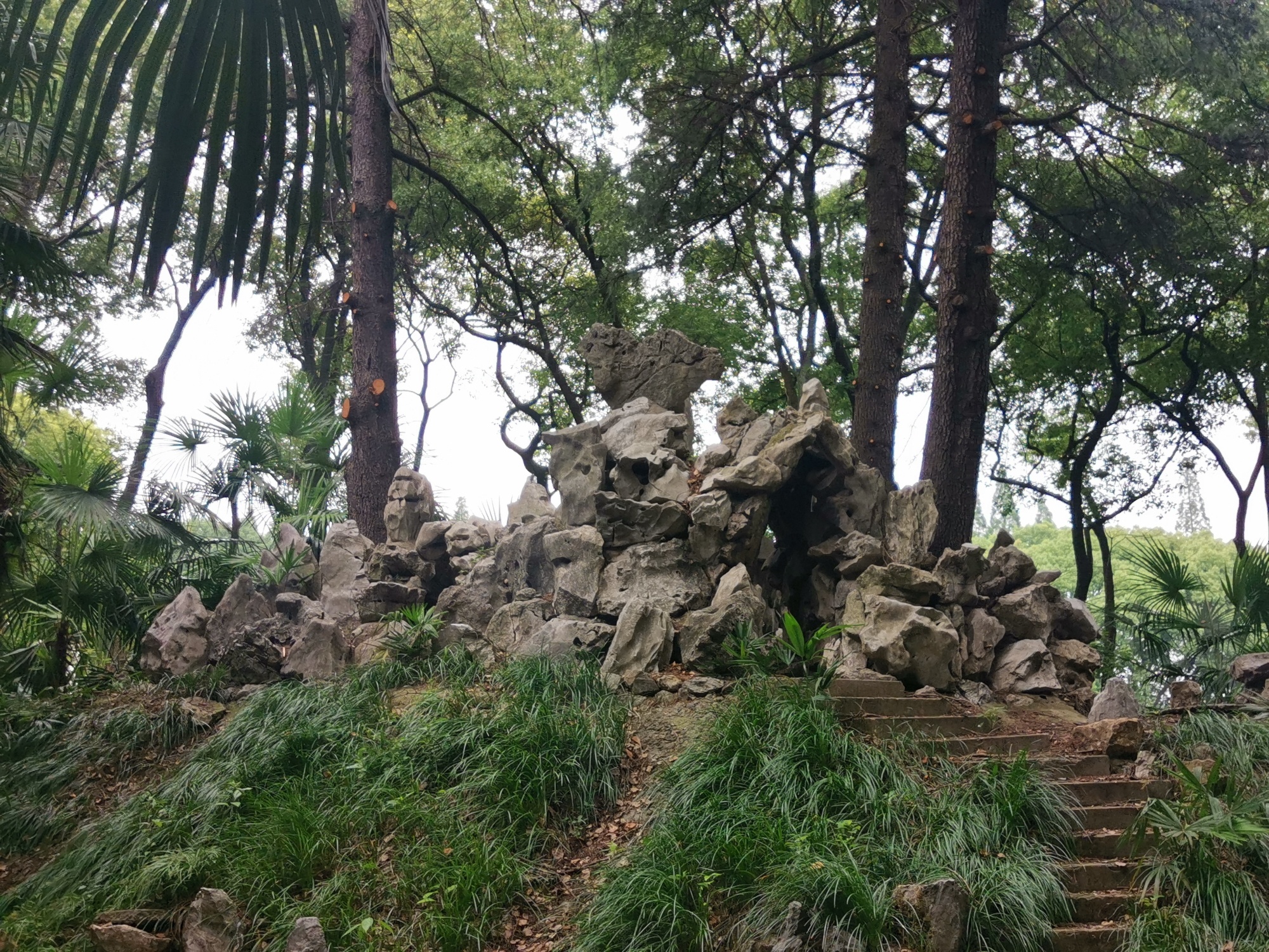 新园公园旅行图片 2
