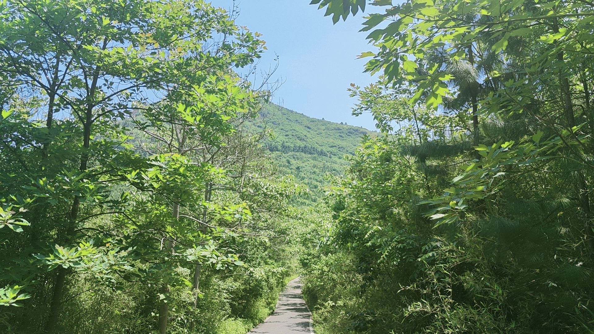 珩琅山风景区旅行图片 2