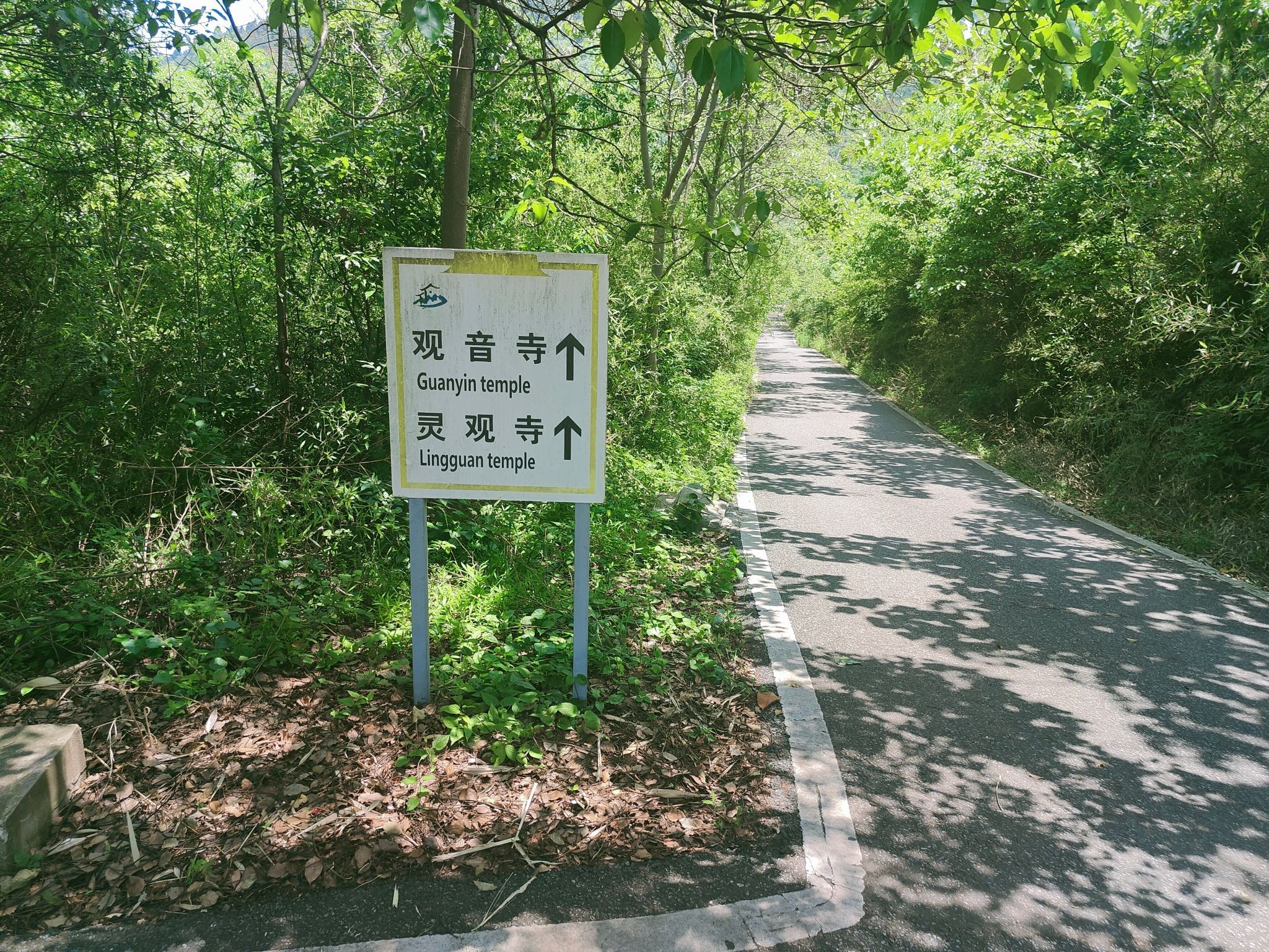 珩琅山风景区旅行图片 1