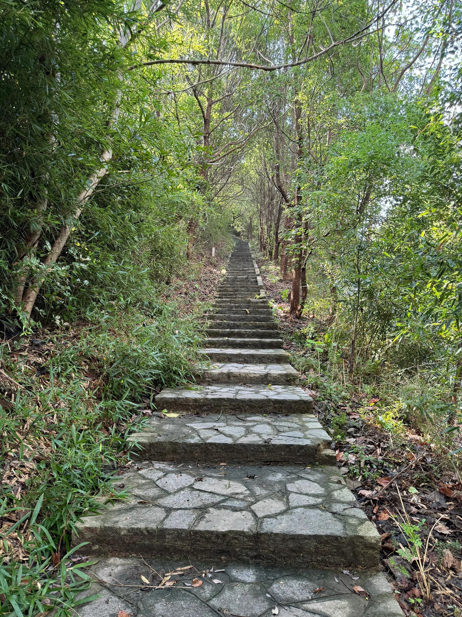 珩琅山风景区旅行图片 1