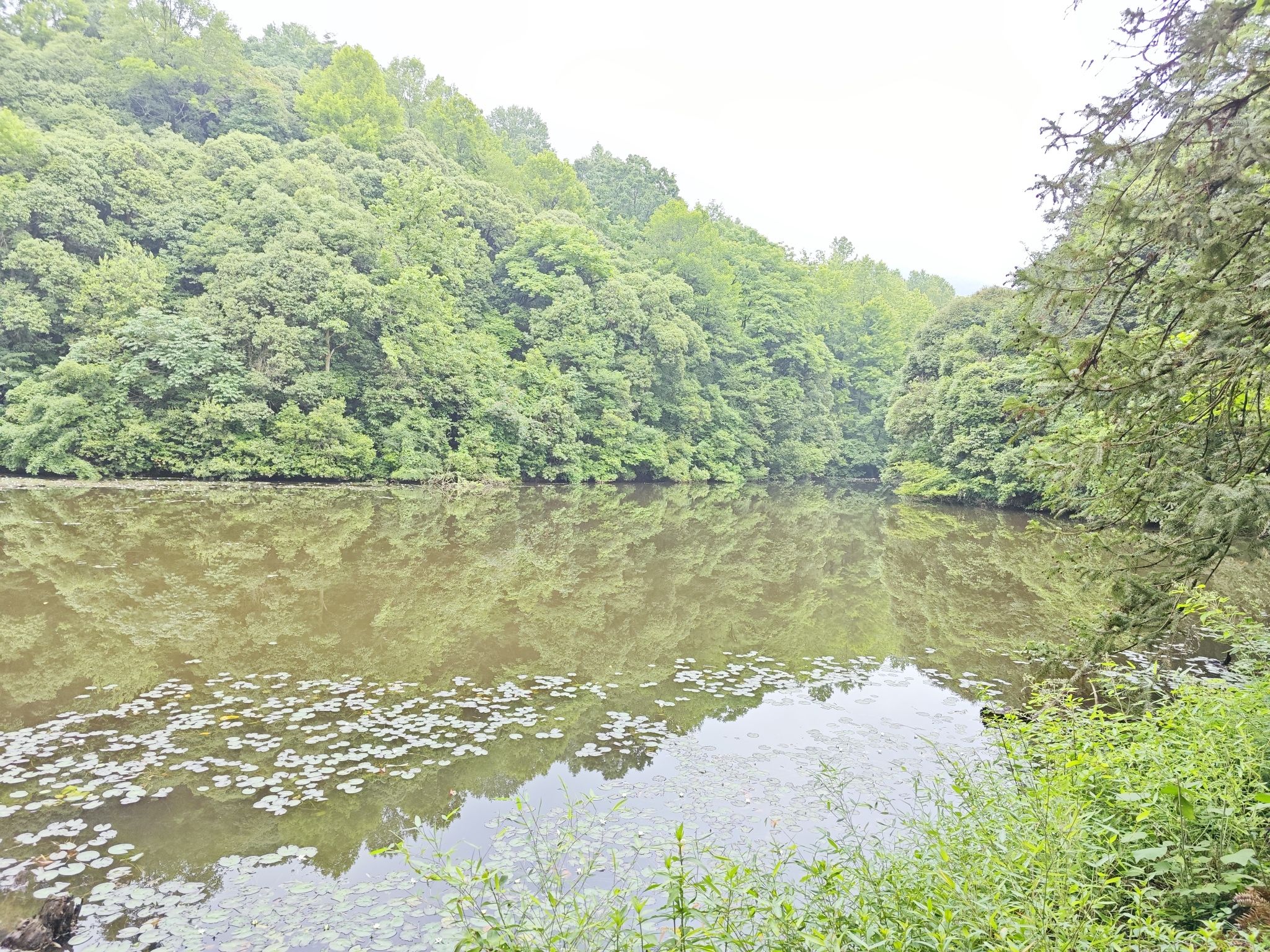 小格里自然风景区旅行图片 2