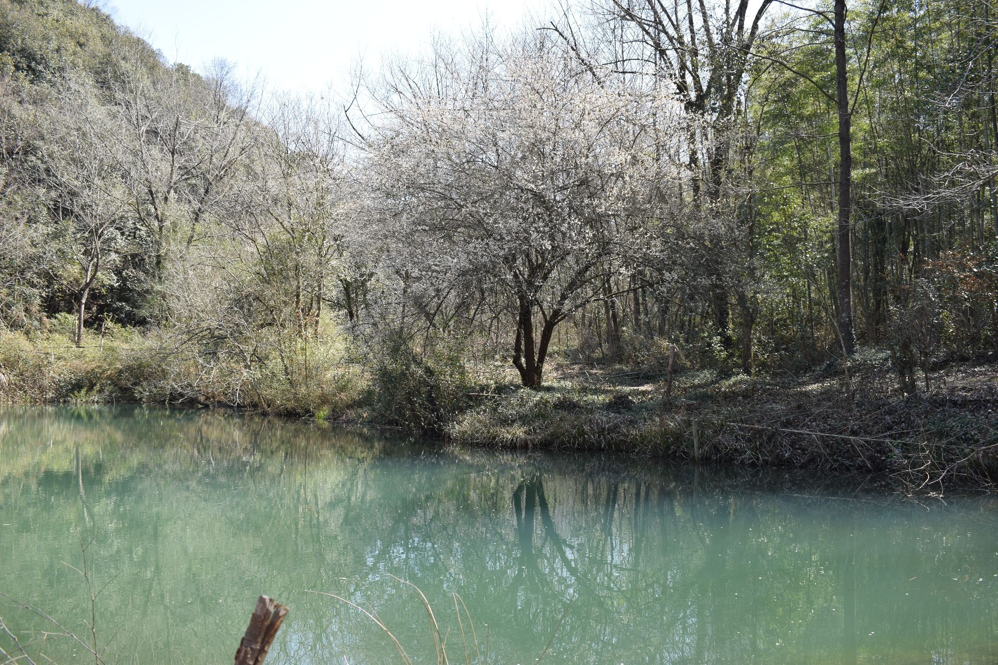 小格里自然风景区旅行图片 2