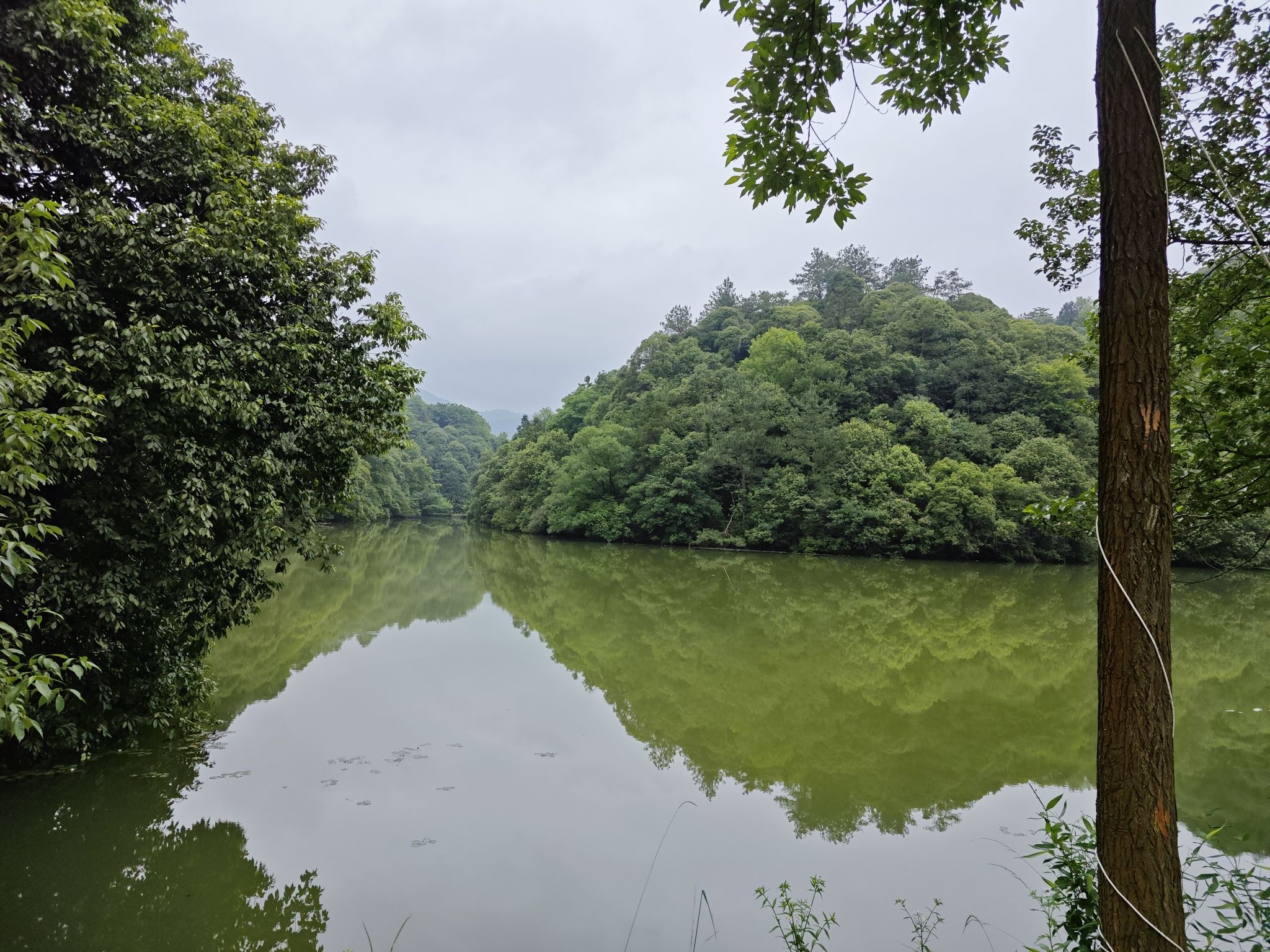 小格里自然风景区旅行图片 1