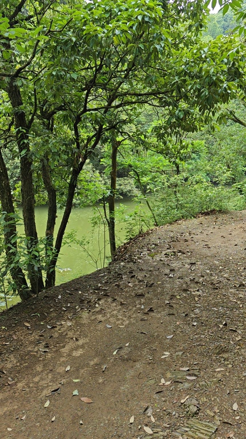 小格里自然风景区旅行图片 3