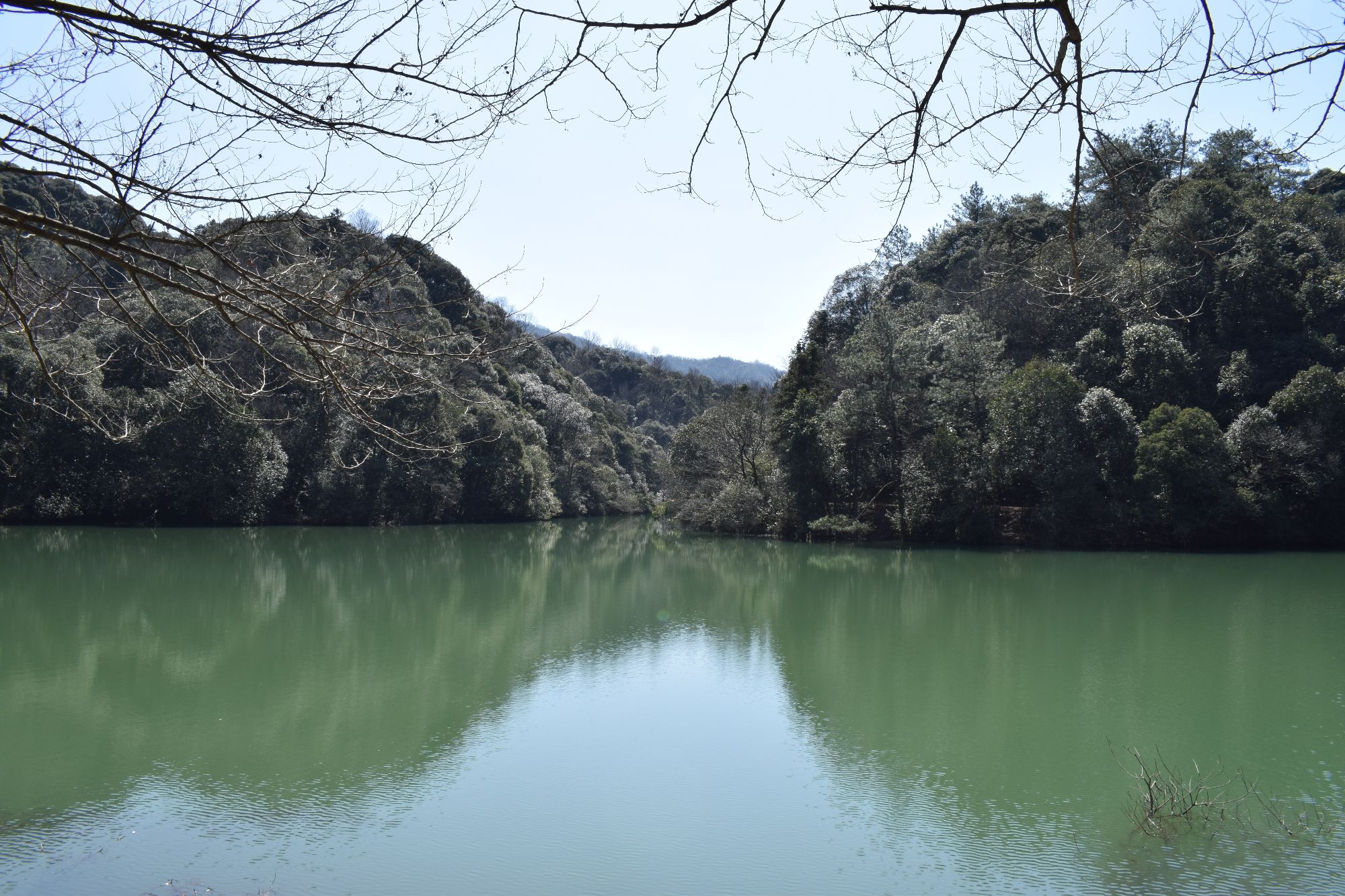 小格里自然风景区旅行图片 1