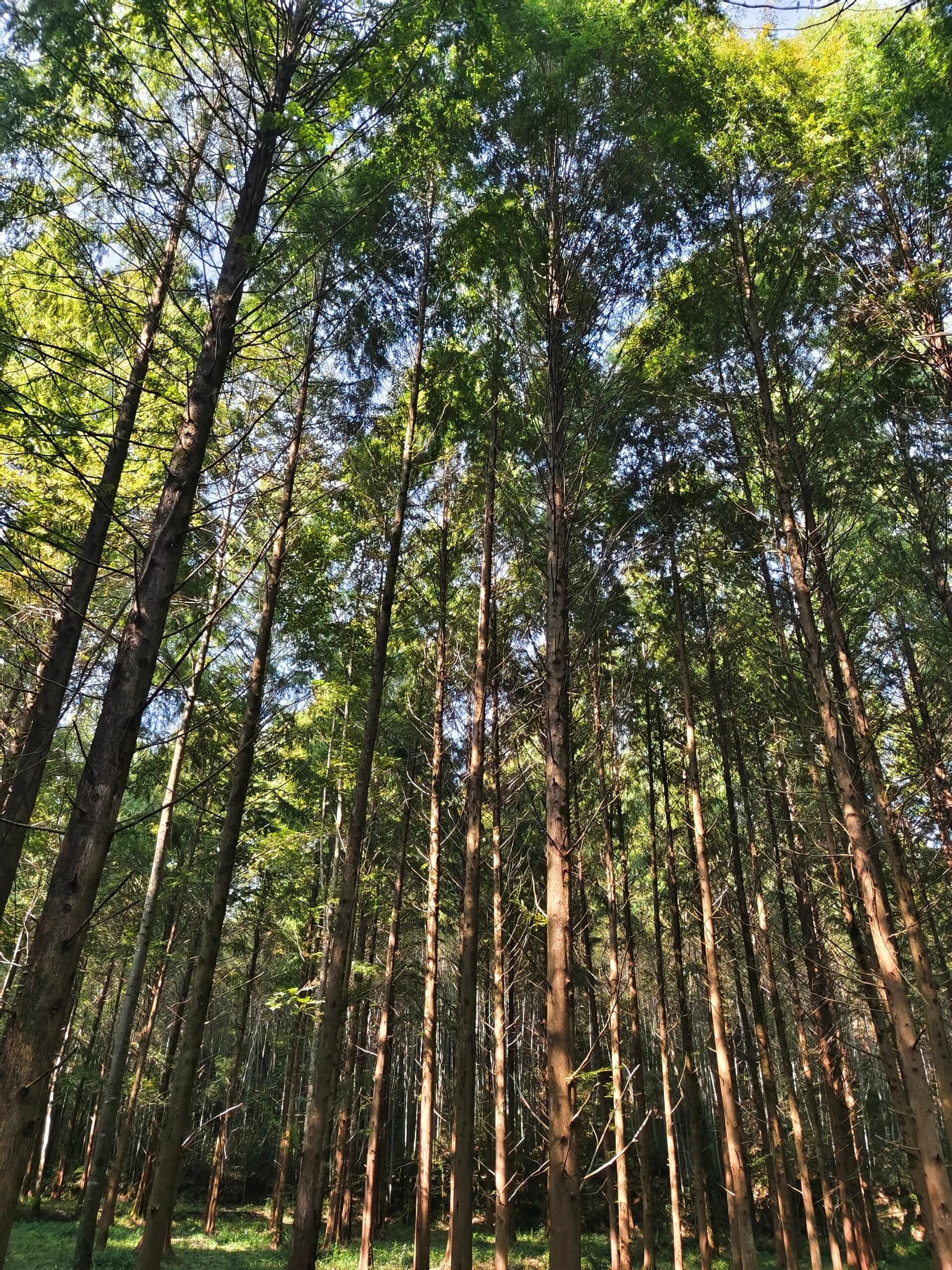 小格里自然风景区旅行图片 3